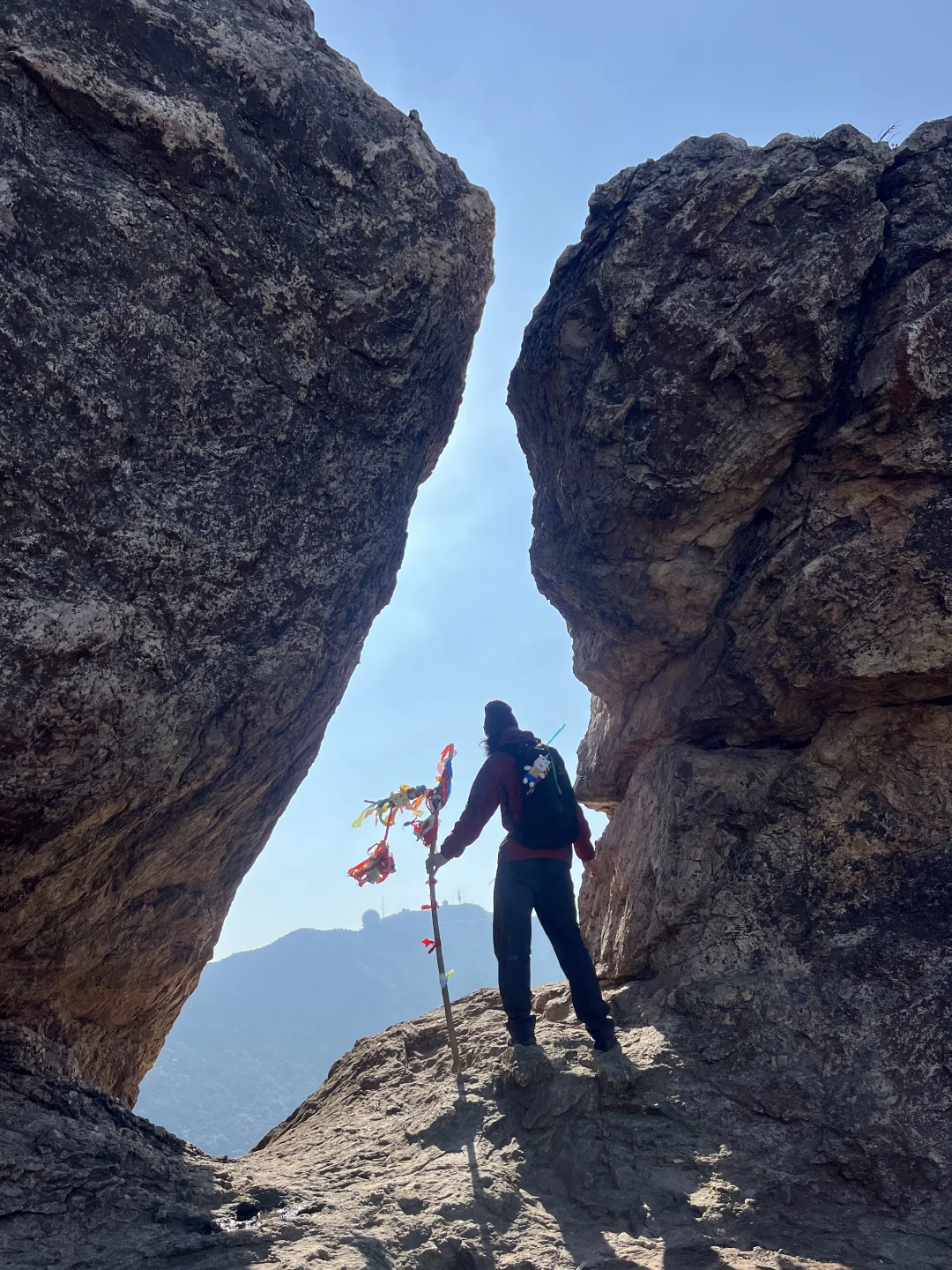 “野”很好玩,“野”很有趣|我的年度passion