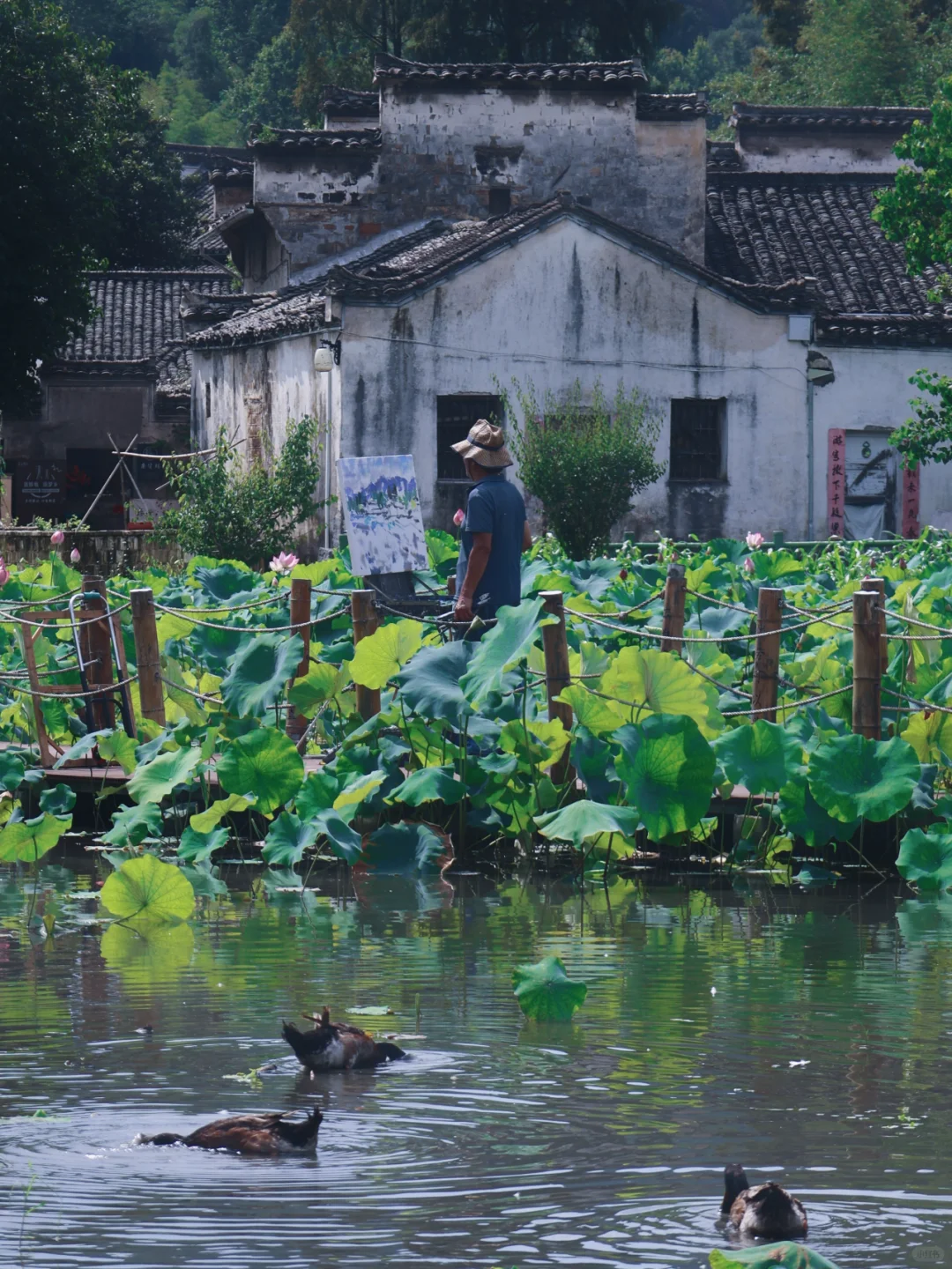 比起宏村我更推荐西递古村落最全旅游呢攻略