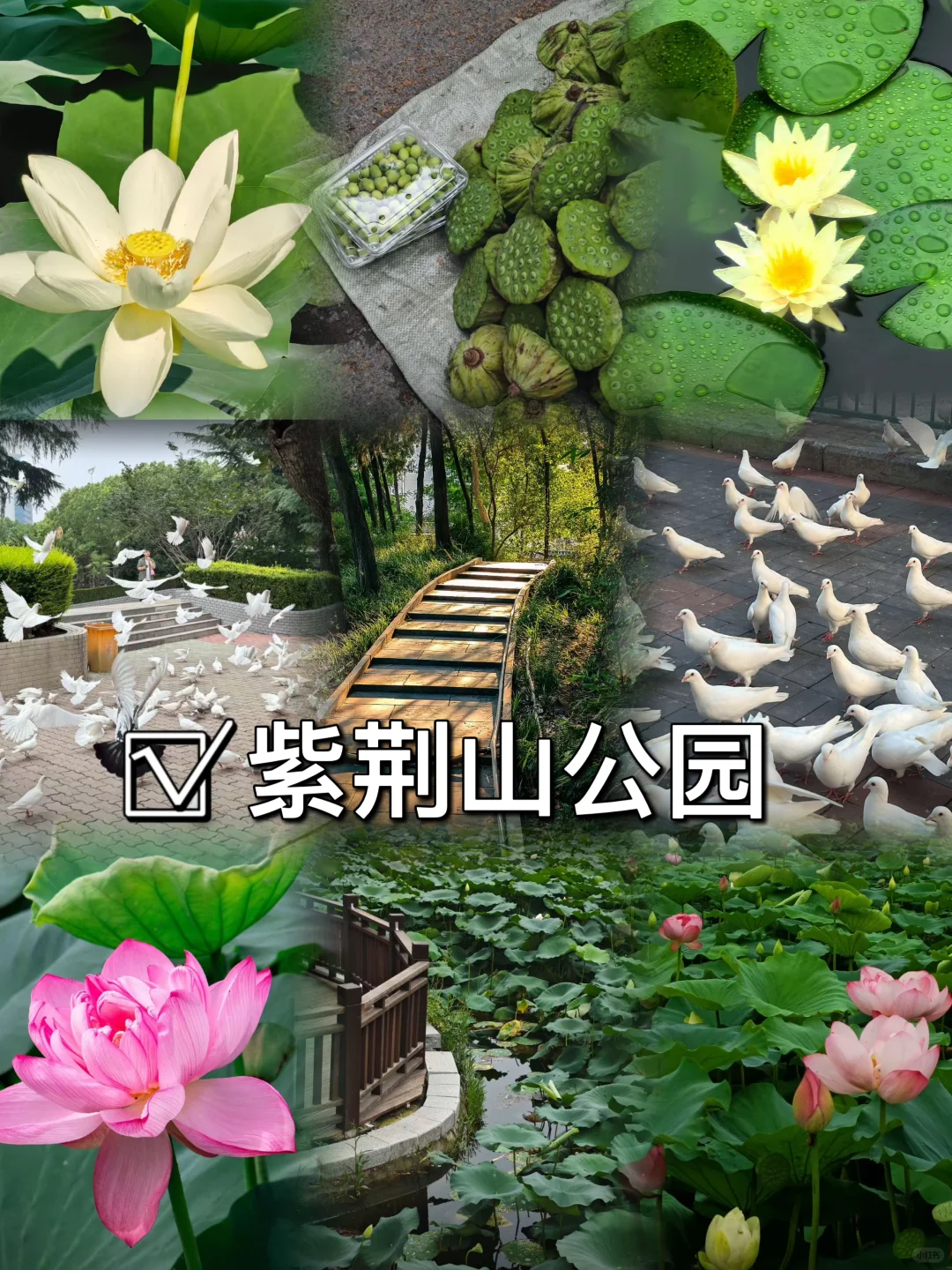 03女大📍郑州/一日游精华版旅游攻略❗️
