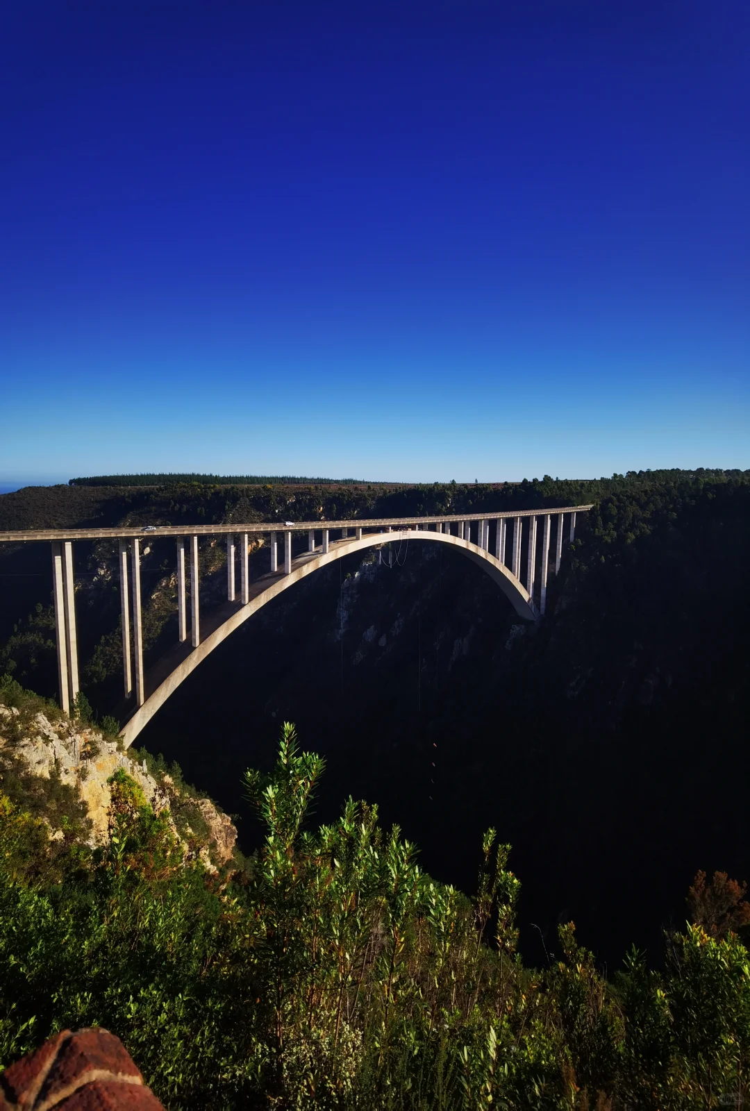 南非【花园大道】旅游攻略