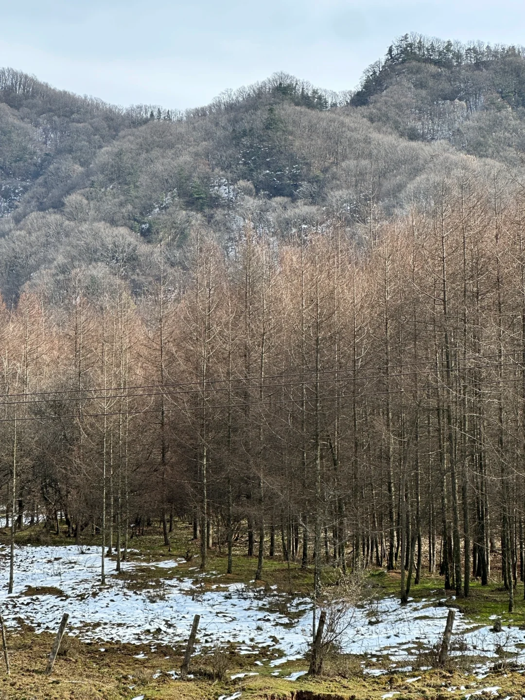 南岭公园雪化了？！❄️西安2.5h抵达冰雪世界～