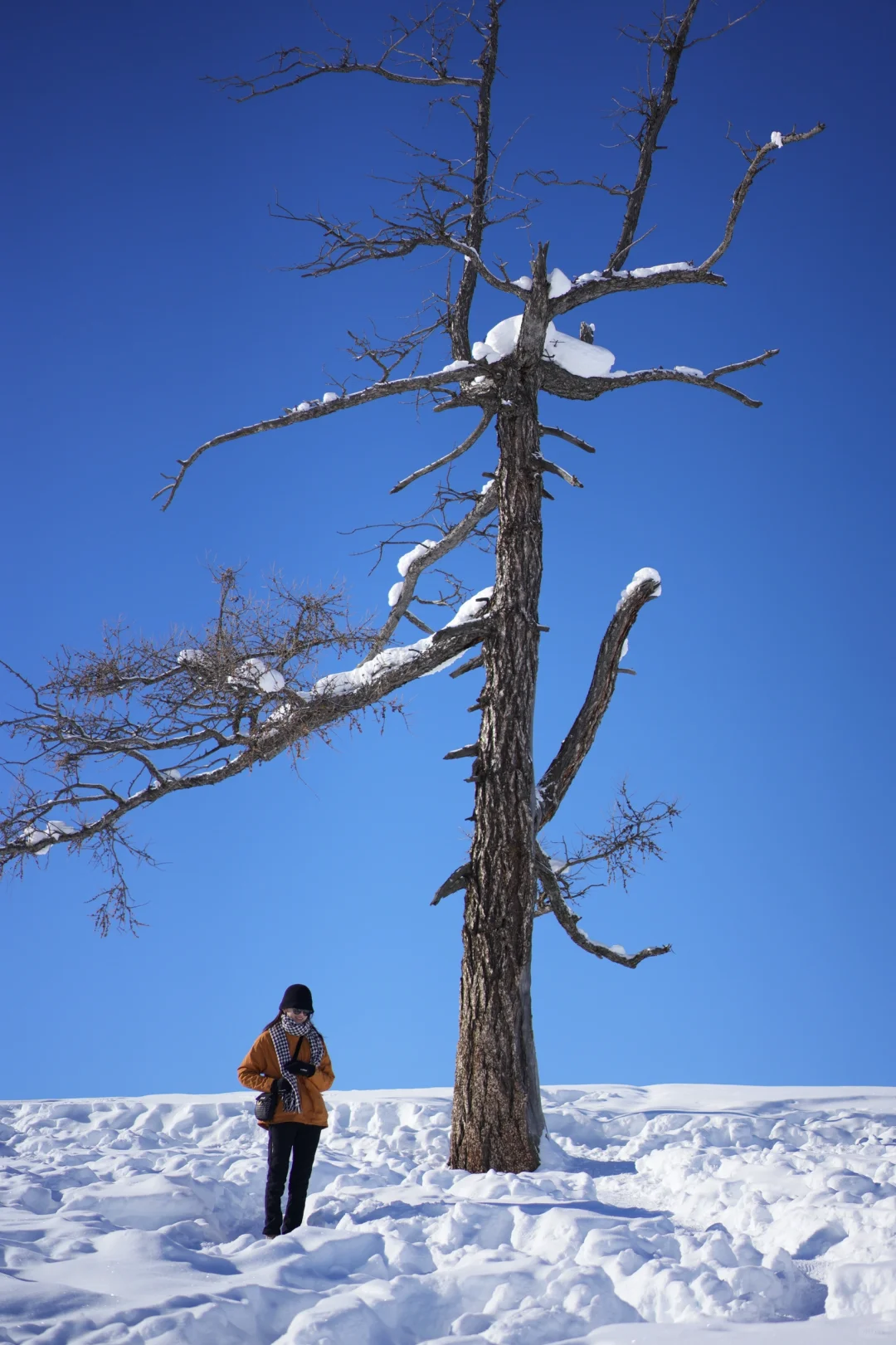 一个人勇闯阿勒泰7天6夜花了不到4000r