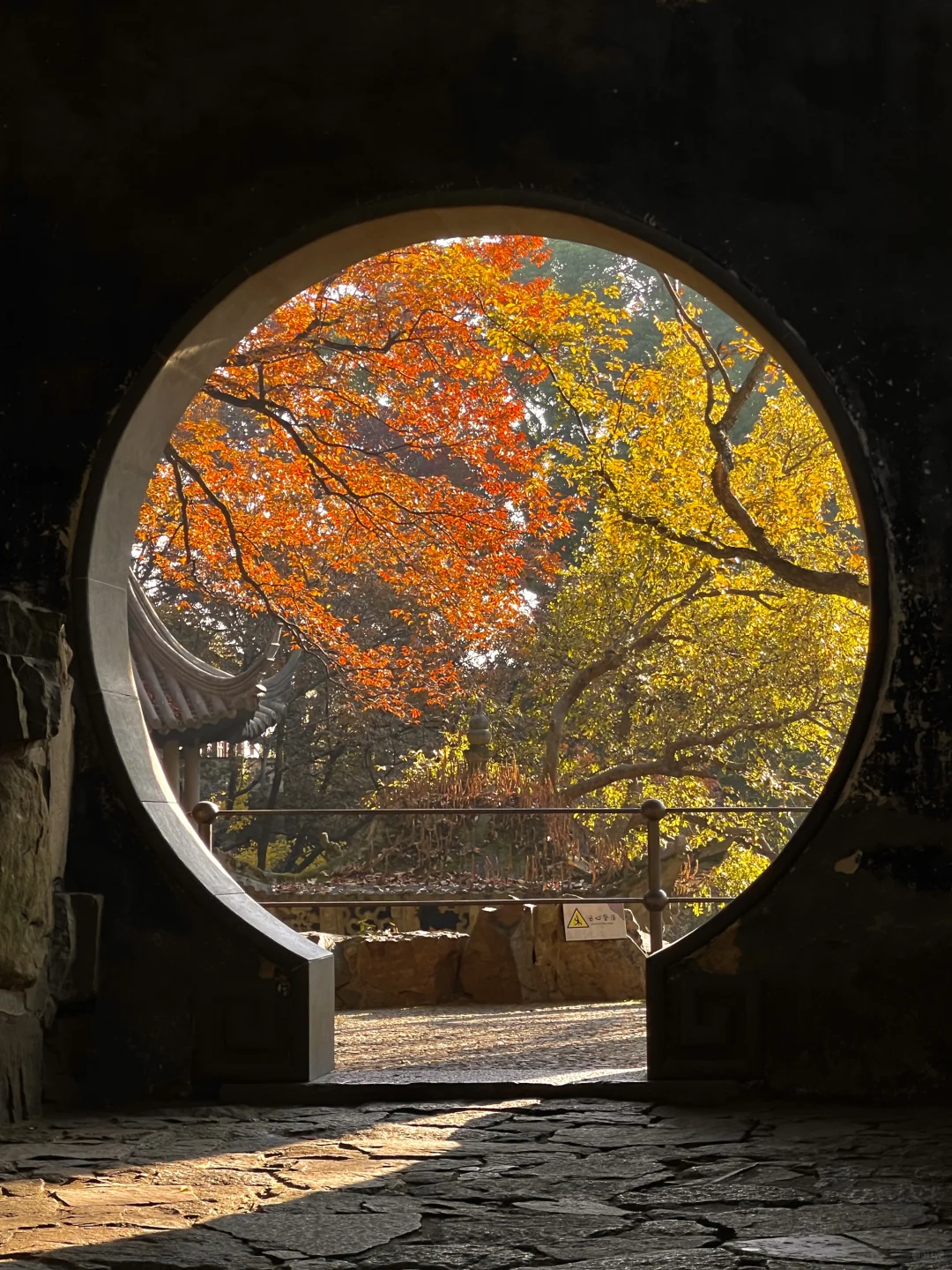 1⃣️8⃣️张live图告诉你苏州的秋天有多美‼️