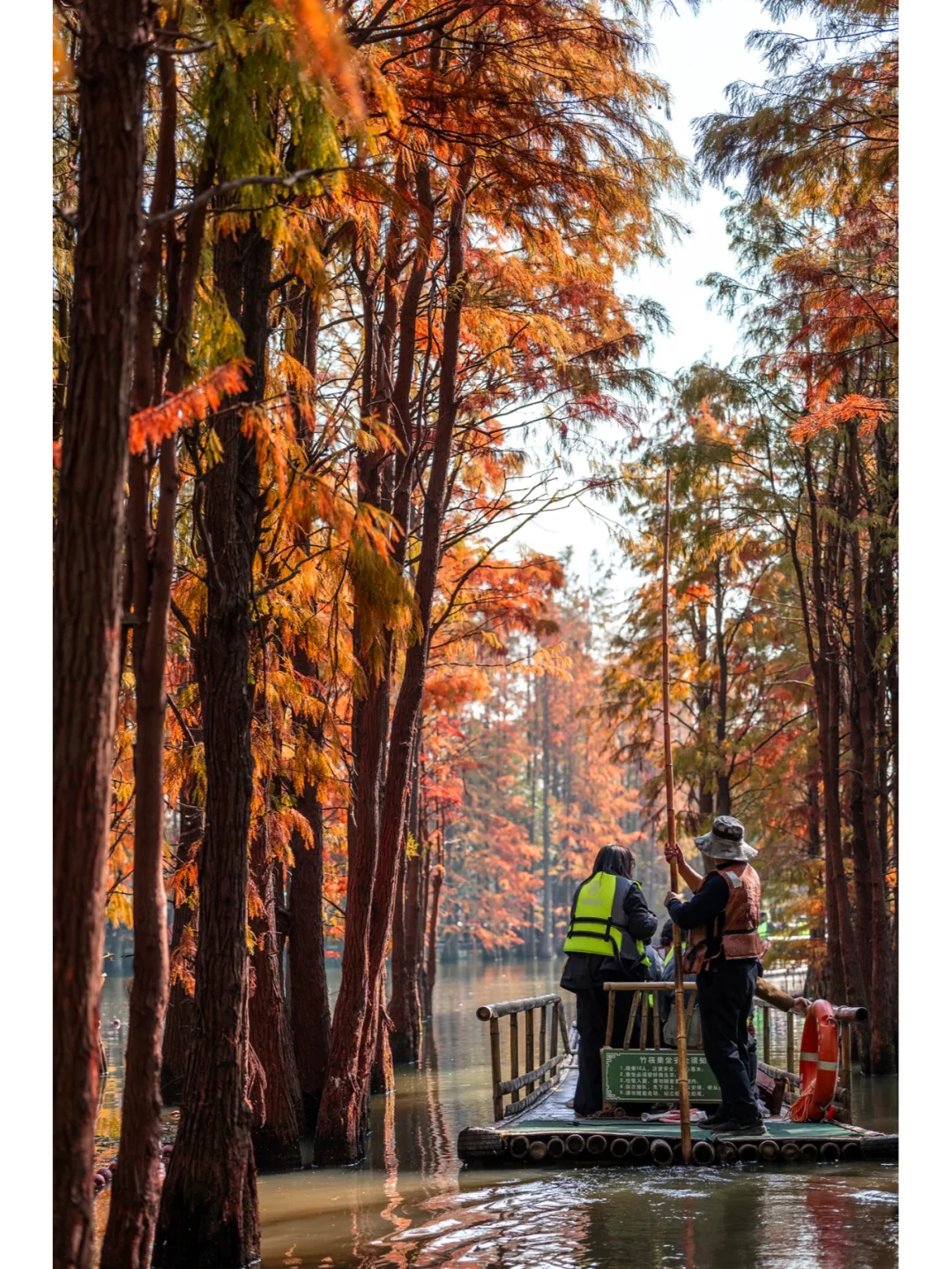 12月的苏州不知道去哪玩，去常熟尚湖吧