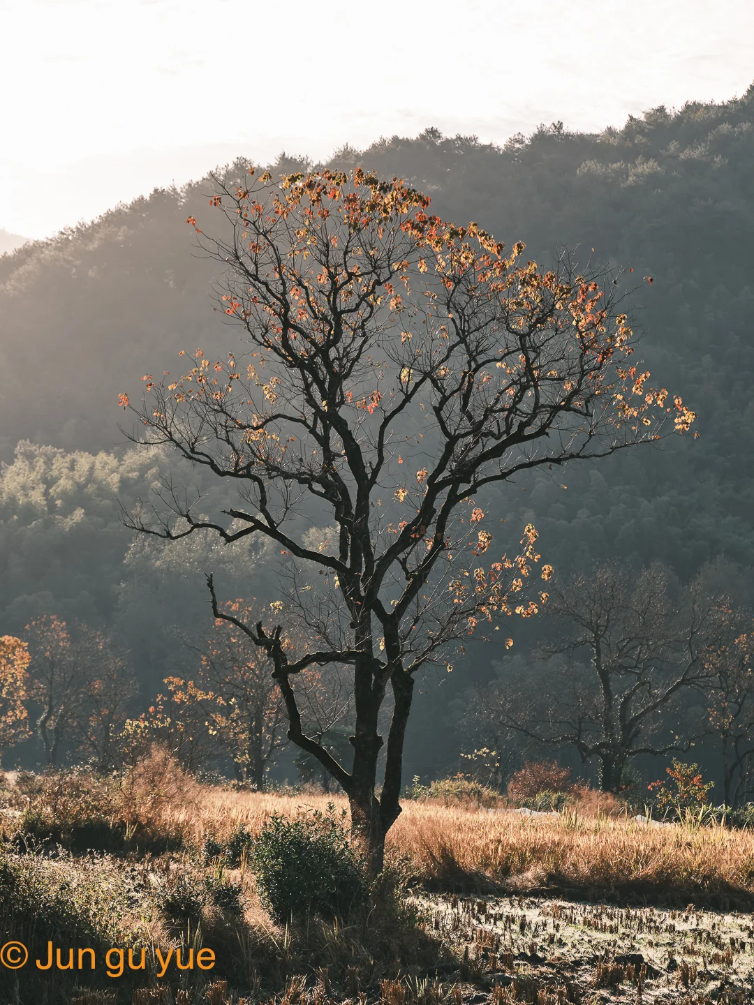 建议收藏❗黟县一日游最强卡点攻略