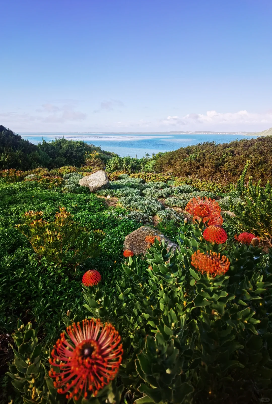 南非【花园大道】旅游攻略
