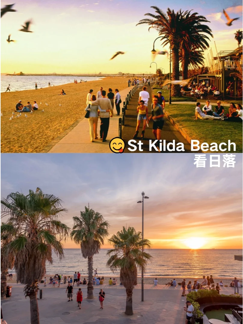 墨尔本旅游懒人版路线😍速来抄作业❗