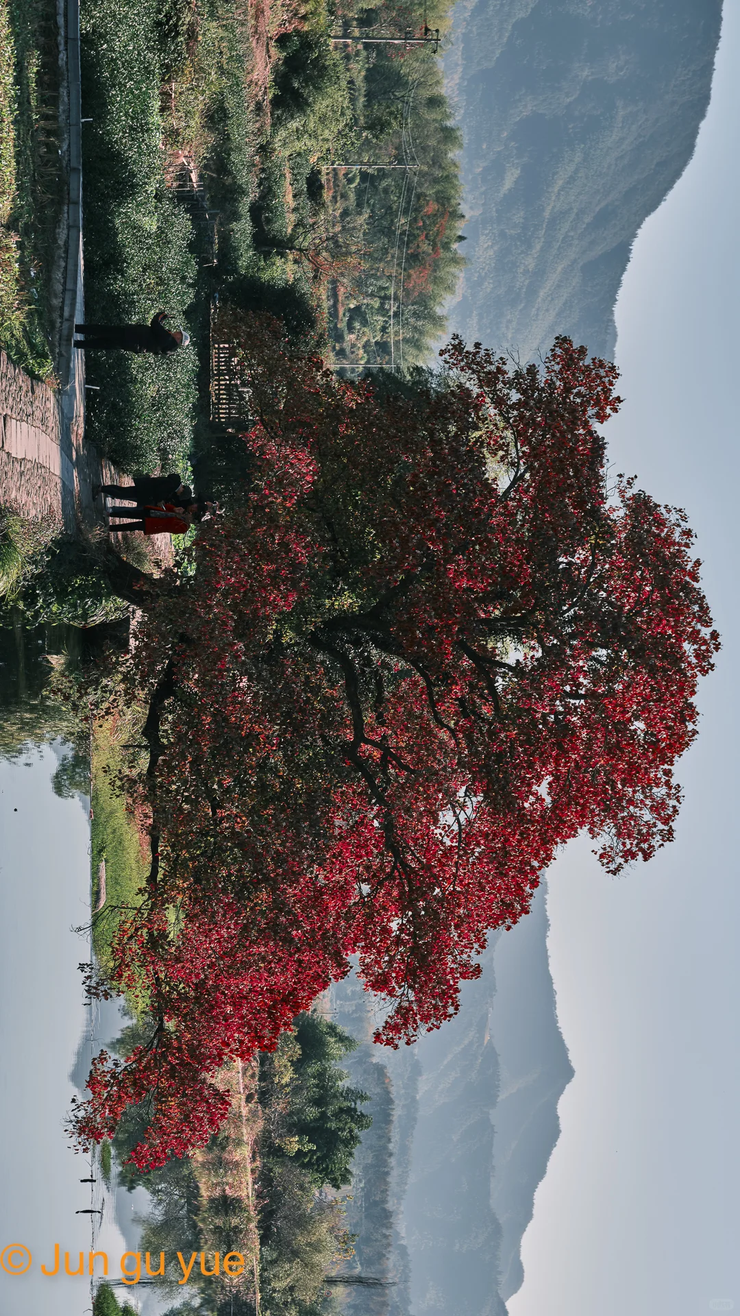 建议收藏❗黟县一日游最强卡点攻略