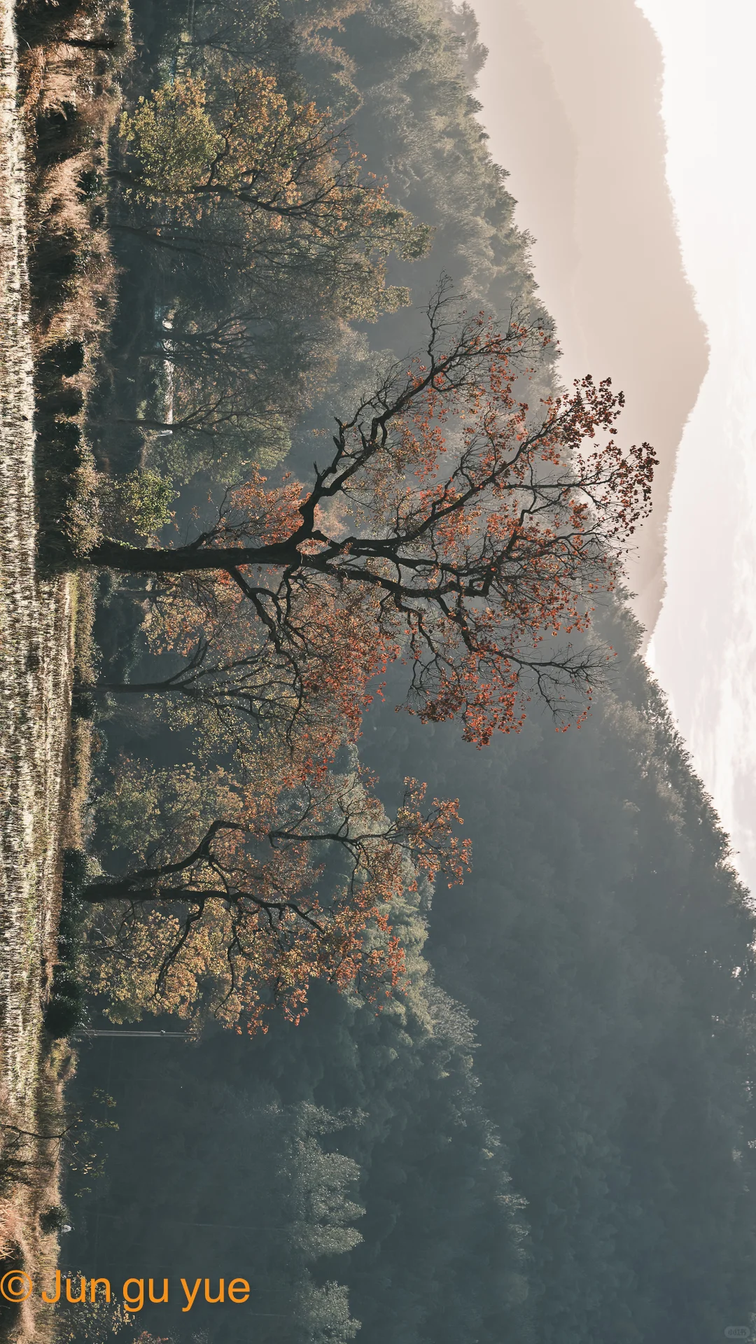 建议收藏❗黟县一日游最强卡点攻略
