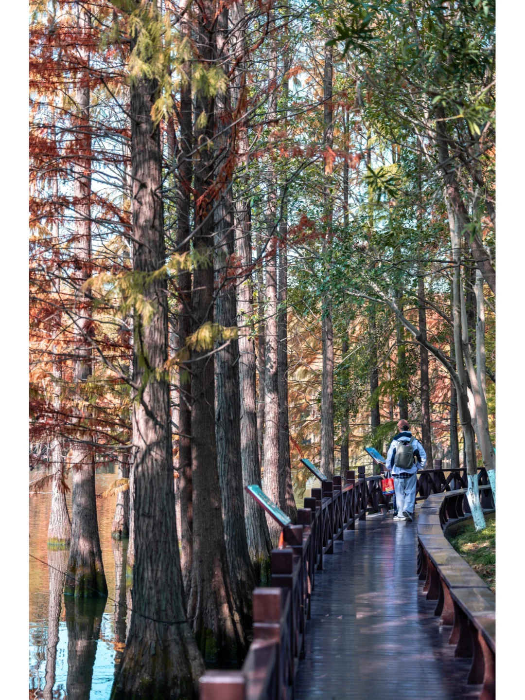 12月的苏州不知道去哪玩，去常熟尚湖吧