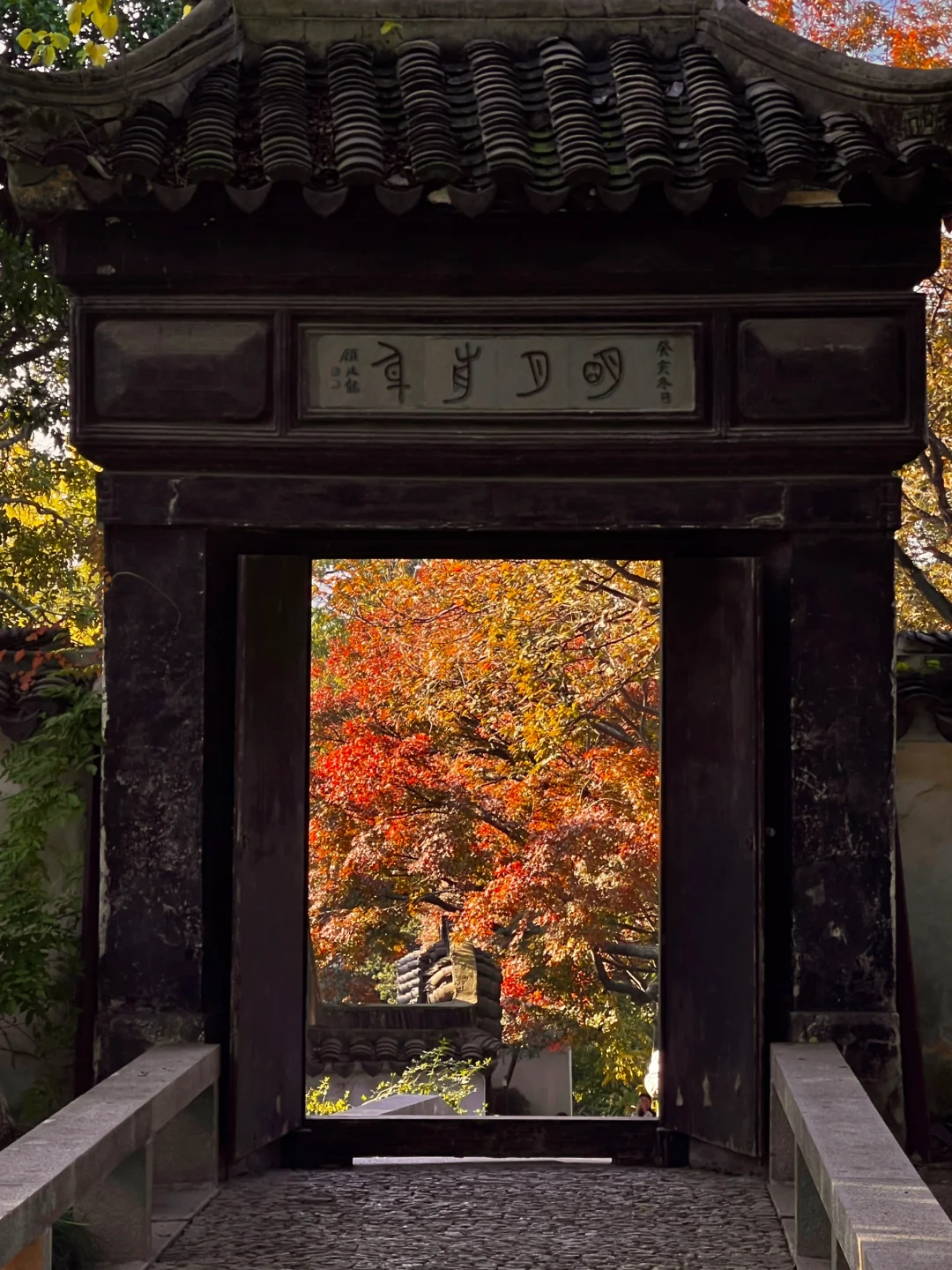 1⃣️8⃣️张live图告诉你苏州的秋天有多美‼️