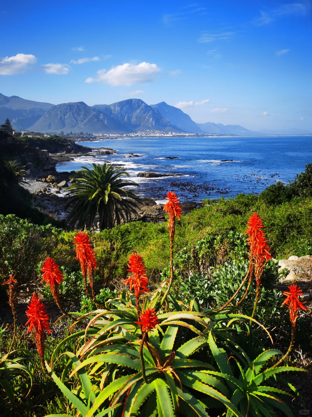 南非【花园大道】旅游攻略