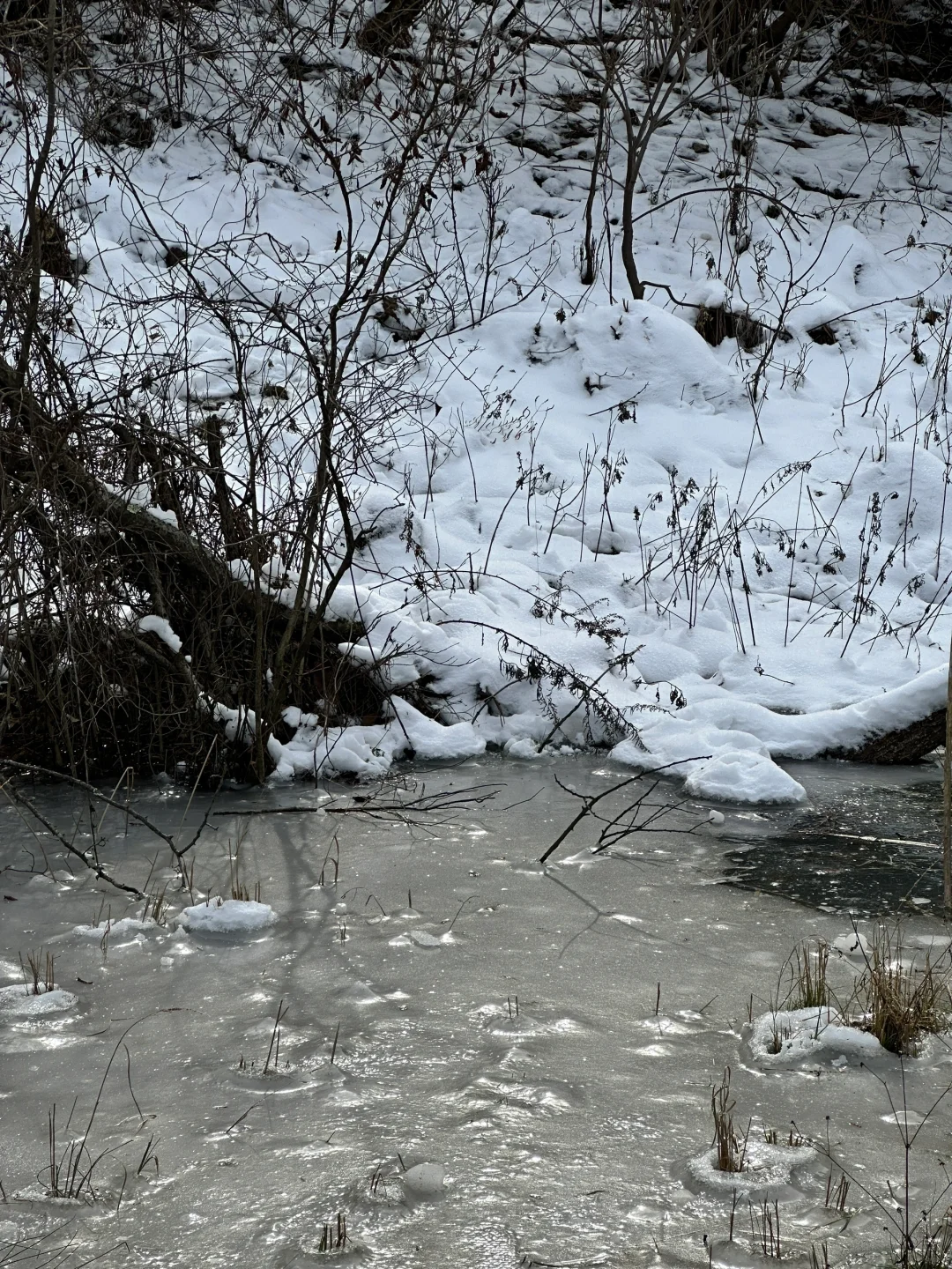 南岭公园雪化了？！❄️西安2.5h抵达冰雪世界～