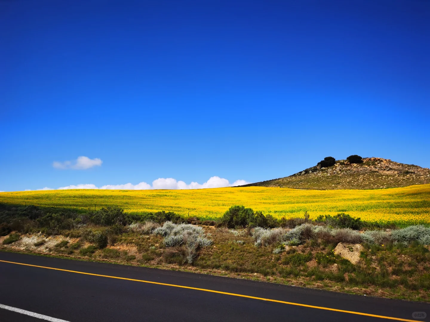 南非【花园大道】旅游攻略