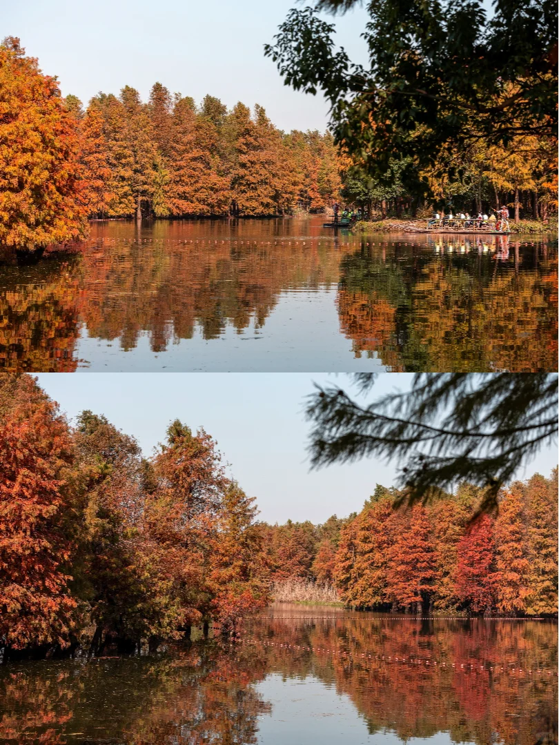 12月的苏州不知道去哪玩，去常熟尚湖吧