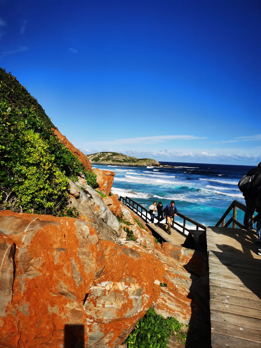 南非【花园大道】旅游攻略