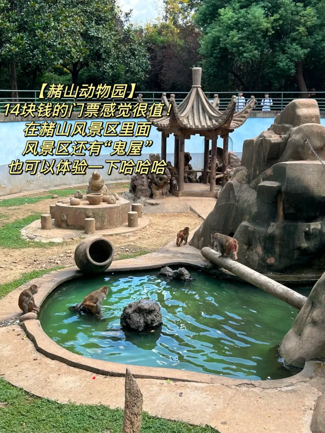 安徽芜湖｜Passion到起飞的宝藏小城🛫