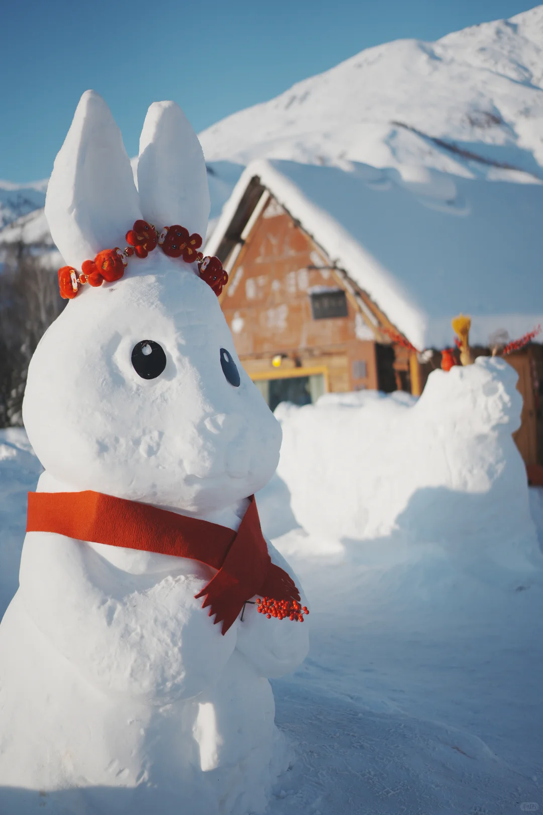 一个人勇闯阿勒泰7天6夜花了不到4000r