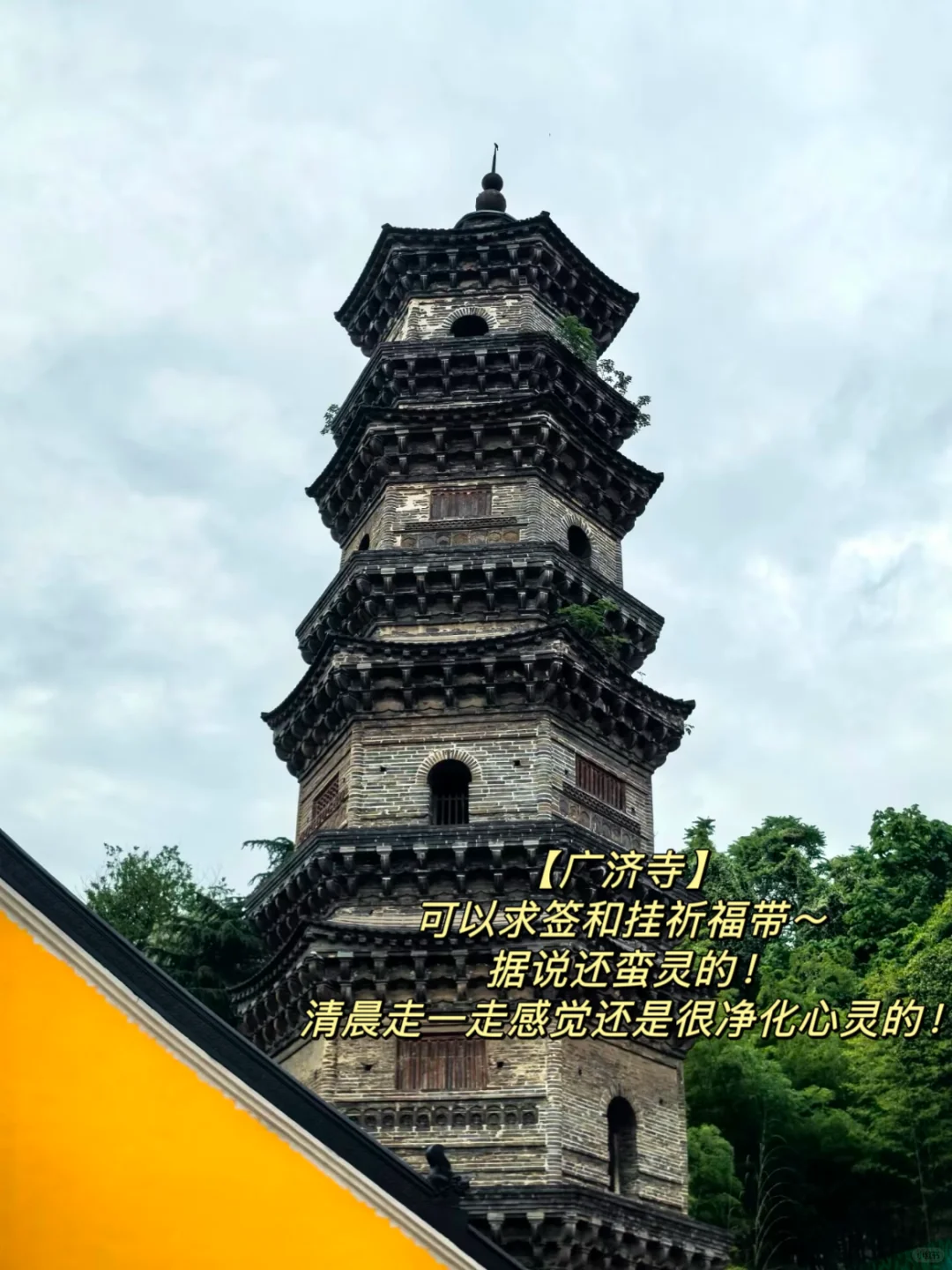 安徽芜湖｜Passion到起飞的宝藏小城🛫