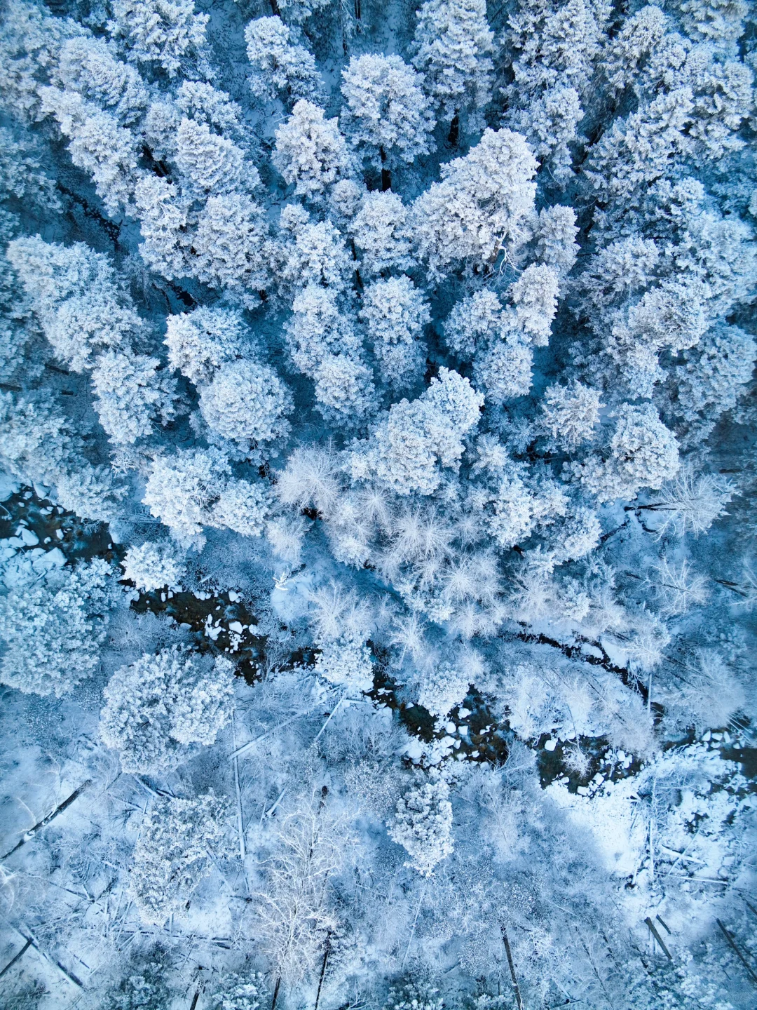 冬季川西怎么玩|来!毕棚沟看雪、滑雪、泡温泉