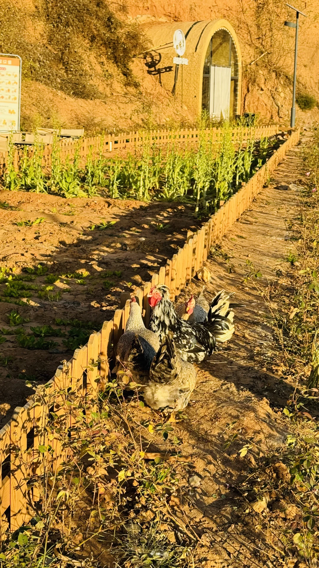 被问了好几遍⁉️12🈷️石家庄童话游玩好去处