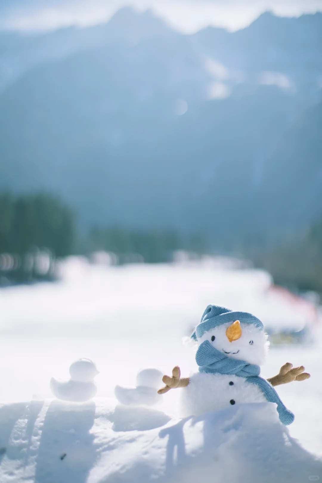 成都2.5h｜森林🌲雪山🏔️小众玩雪地❄️