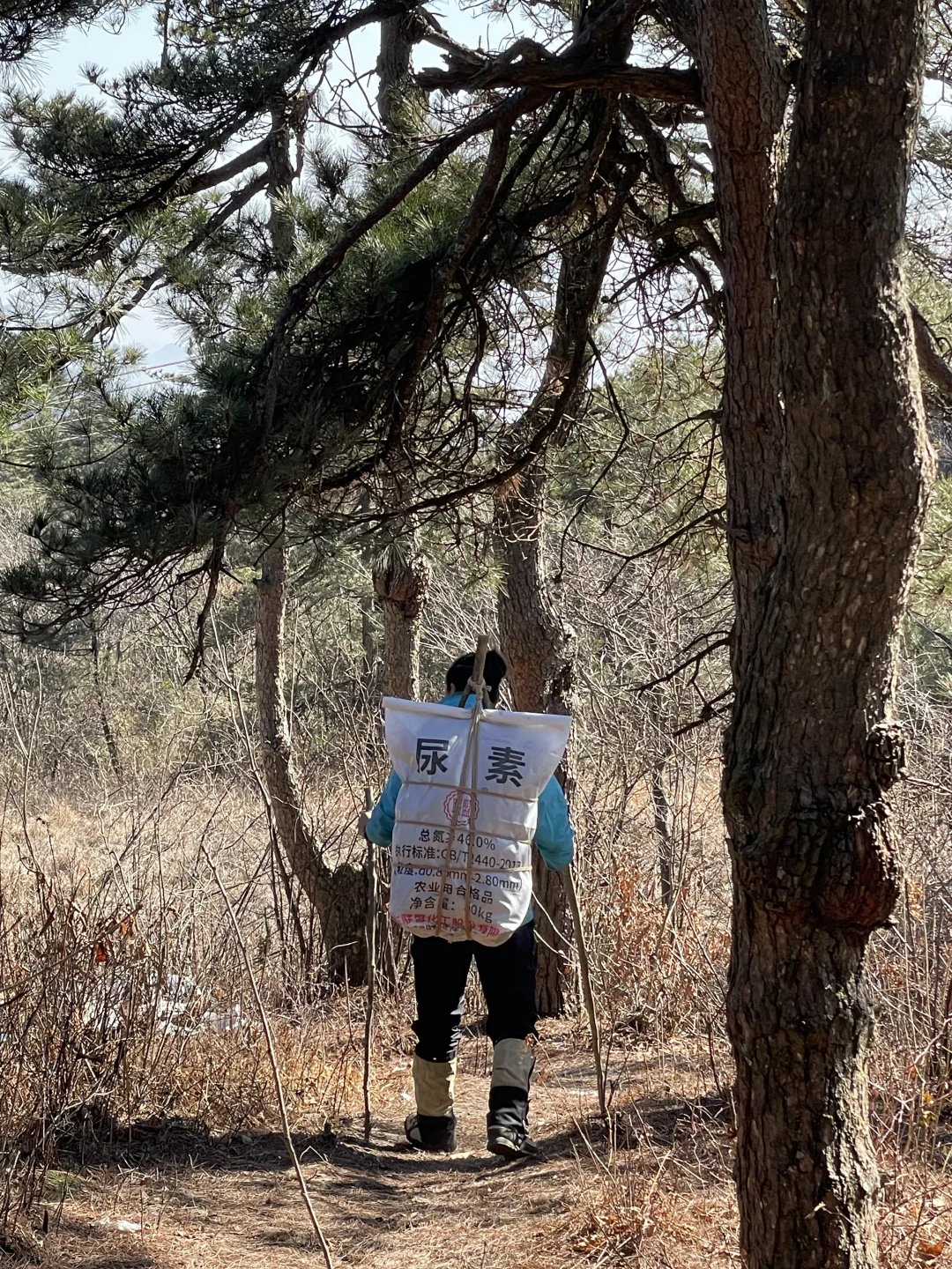 “野”很好玩,“野”很有趣|我的年度passion