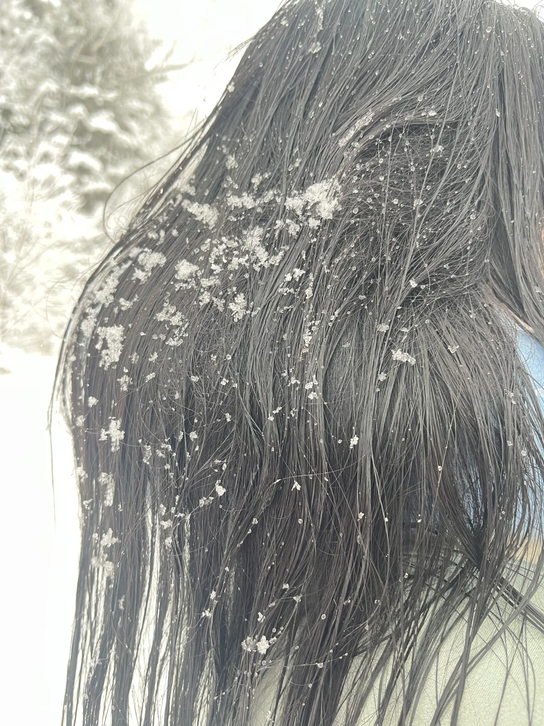 哈尔滨—延吉—雪岭—西坡漂流—长白山最详细攻