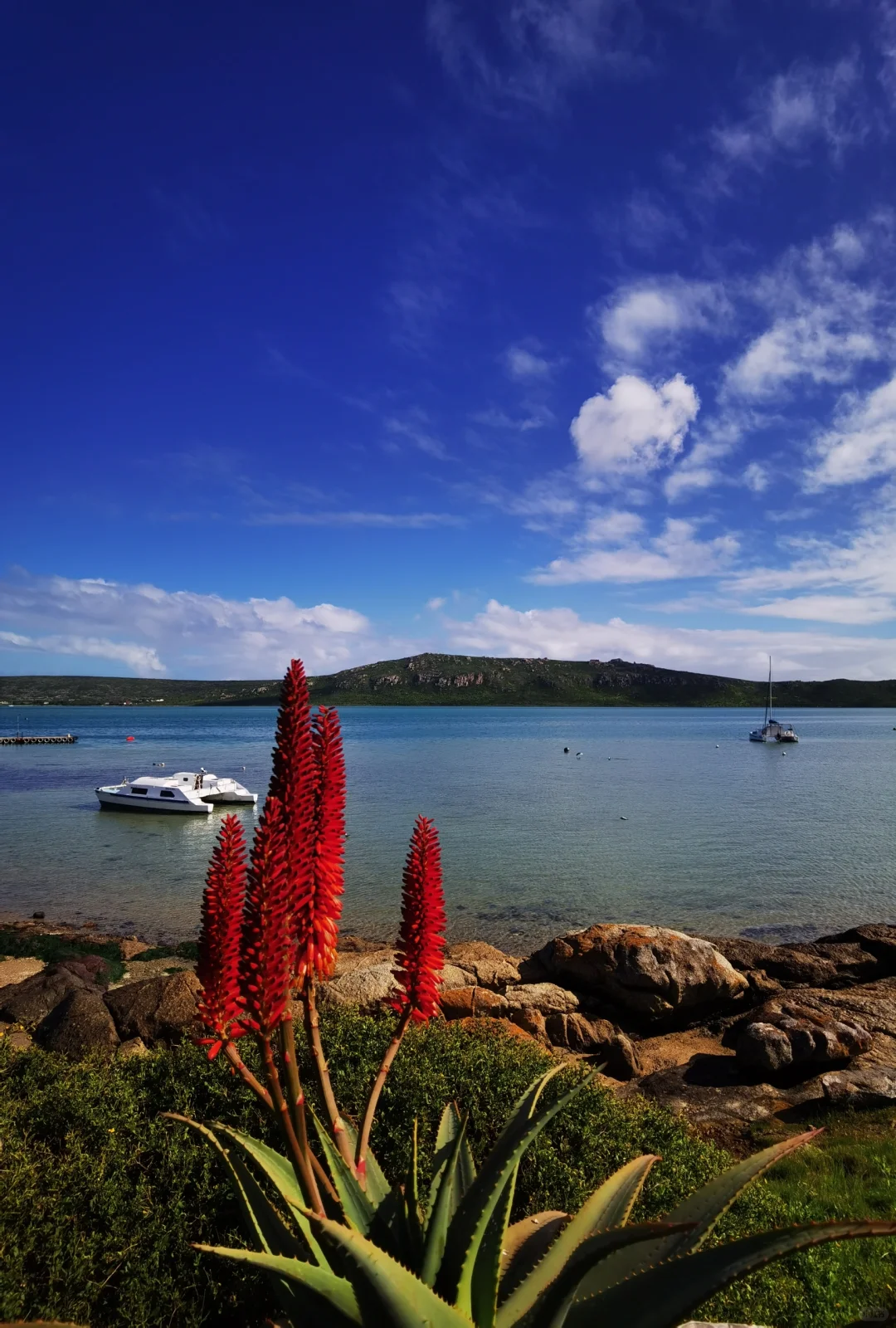 南非【花园大道】旅游攻略