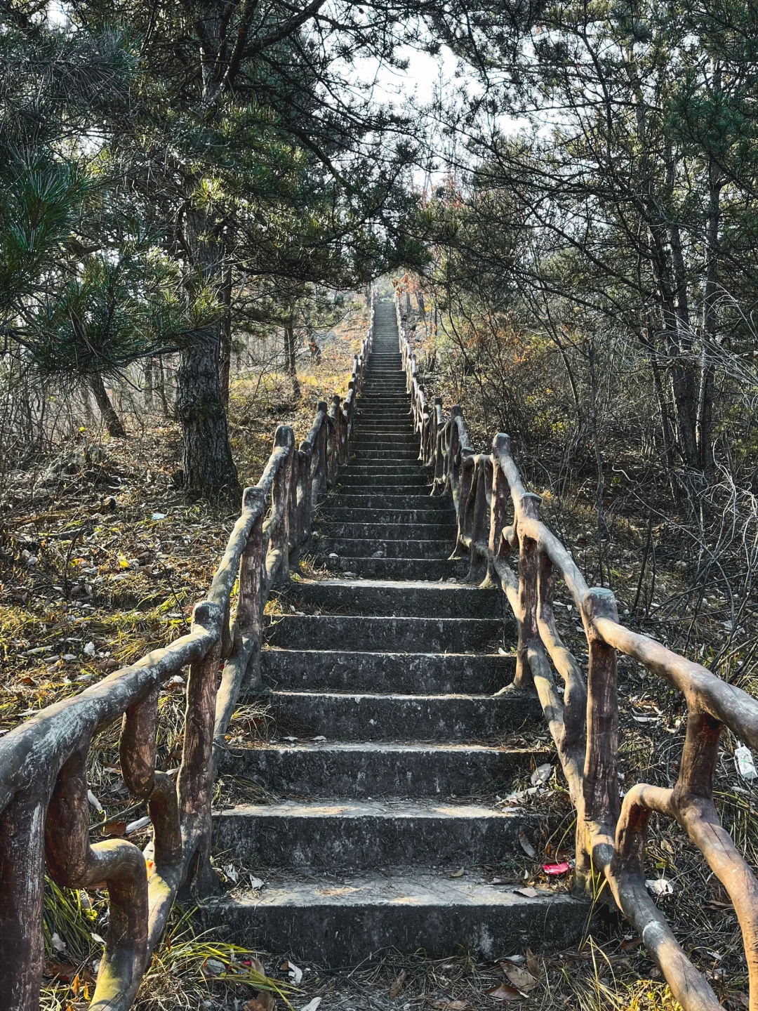 邢台半天时间免费小众轻松不累的景区⛰️