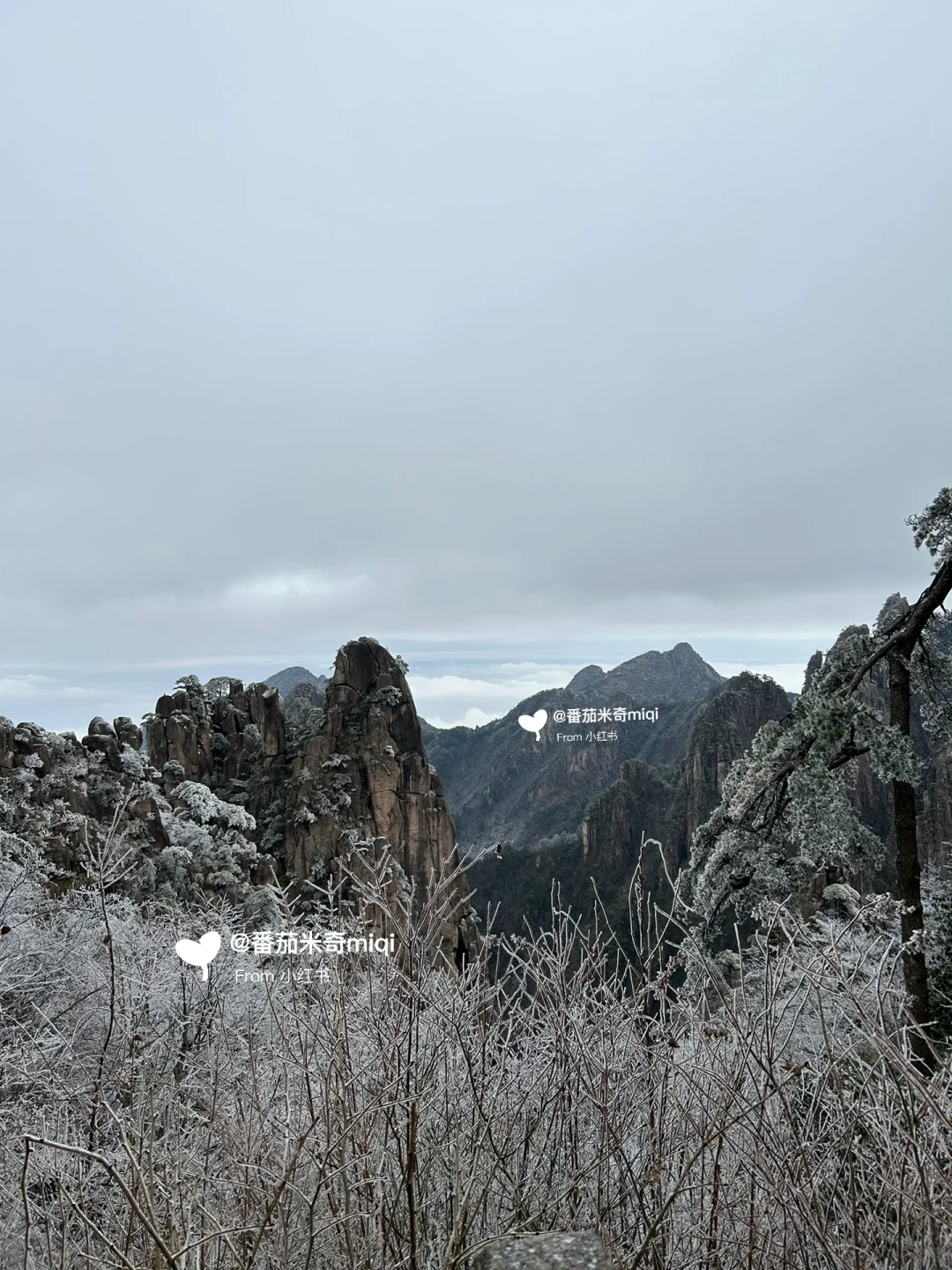 黄山雪季旅游通知！！！还好提前刷到了！！
