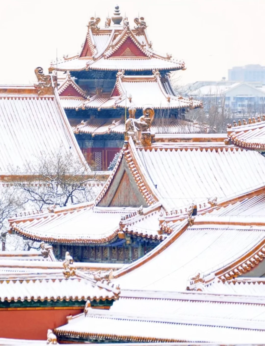 2024国内旅游清单|每个月适合去的旅行地