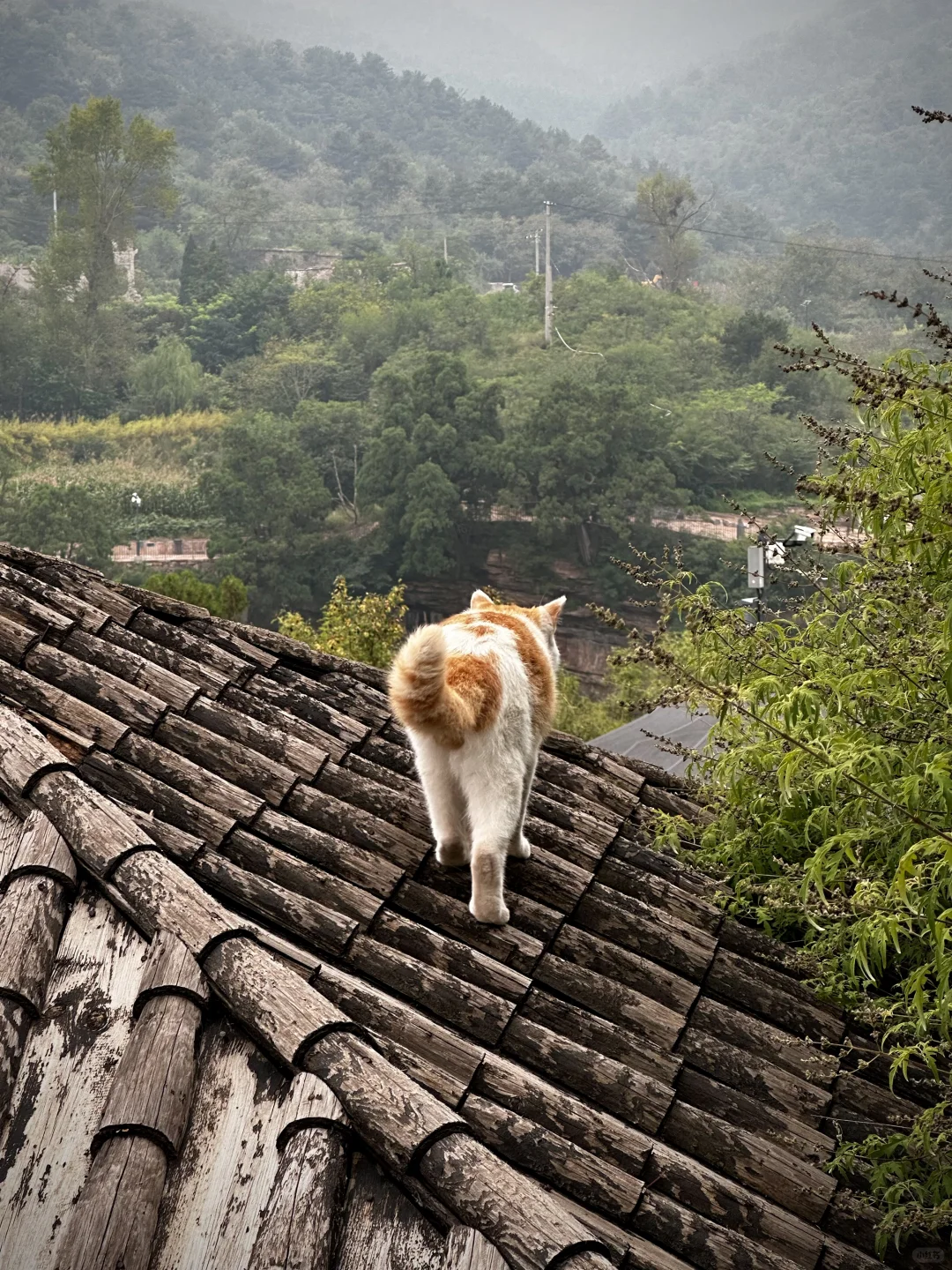 石家庄苍岩山,打卡《黑神话悟空》原型古建筑