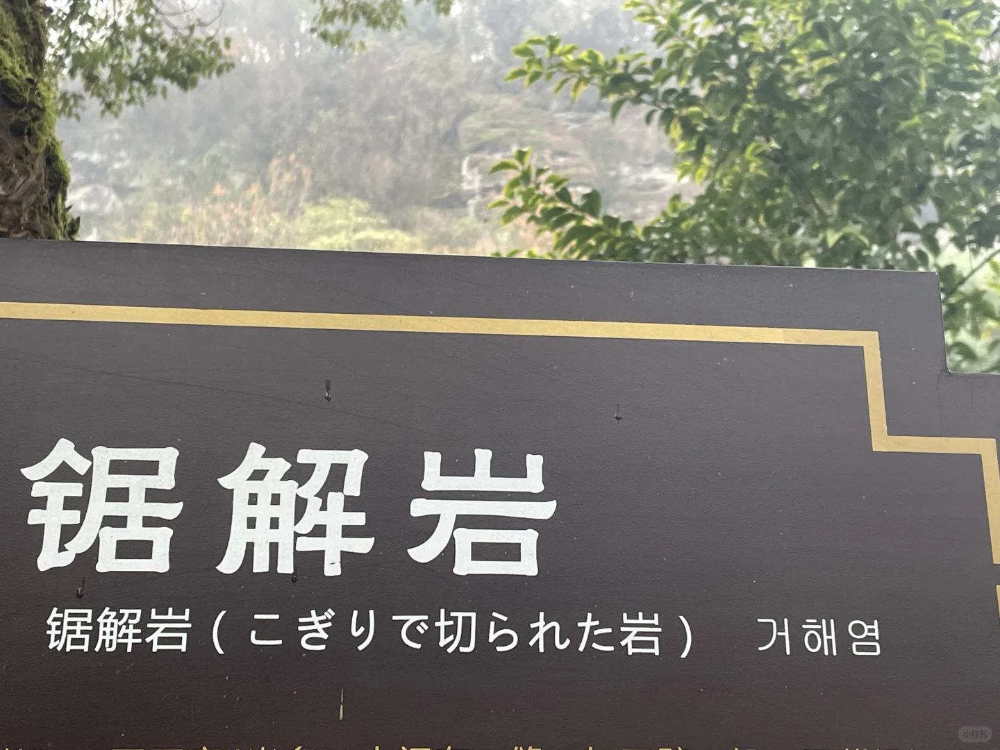 新昌大佛寺景区内容易忽略的景点：锯解岩