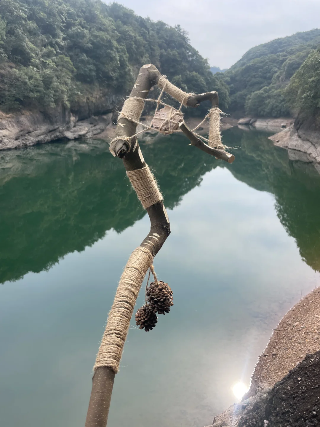 “野”很好玩,“野”很有趣|我的年度passion