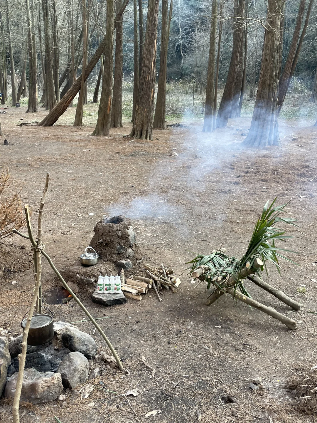 “野”很好玩,“野”很有趣|我的年度passion