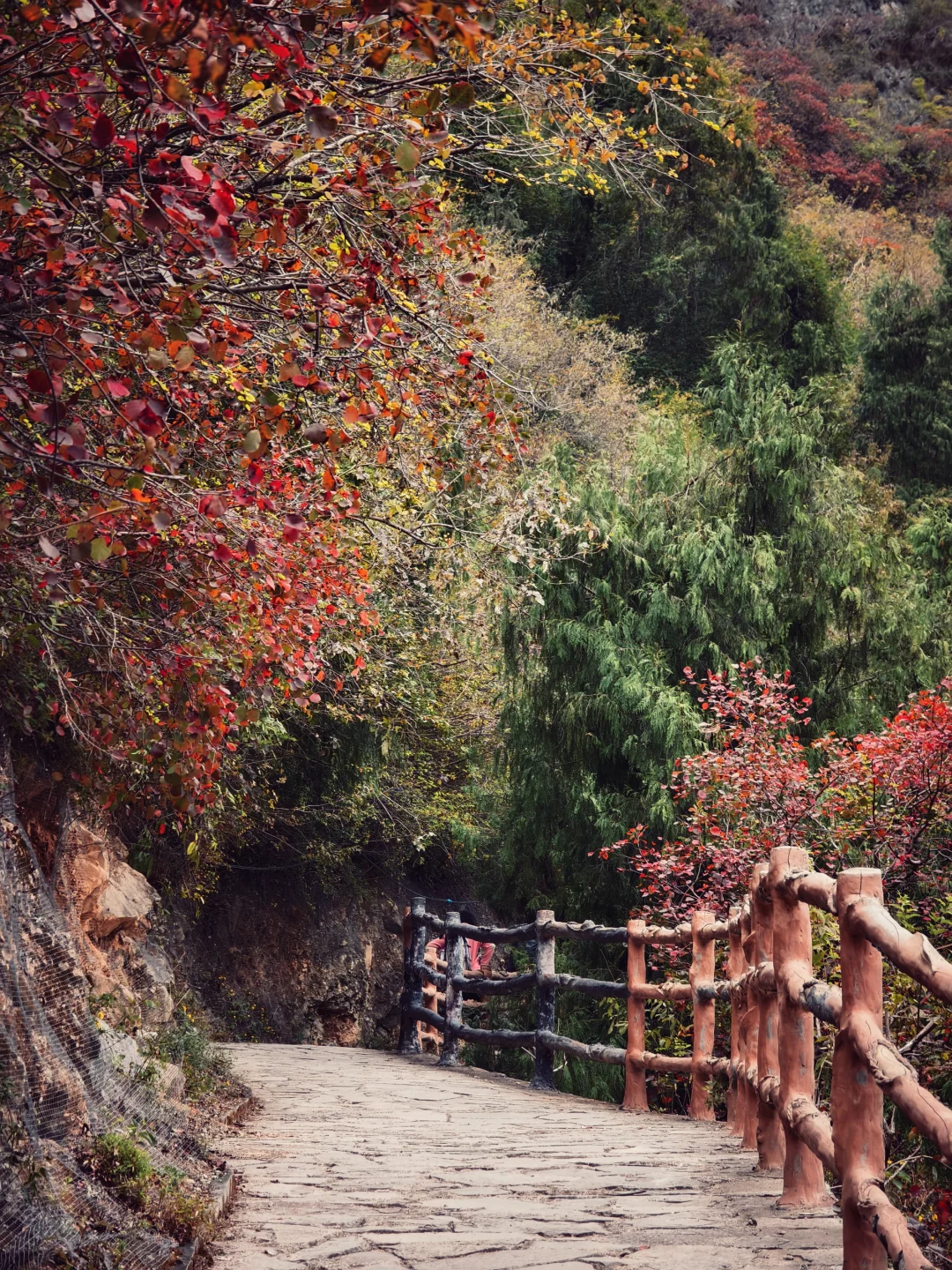 圆梦三峡！看到了李白所说白帝城和三峡之巅