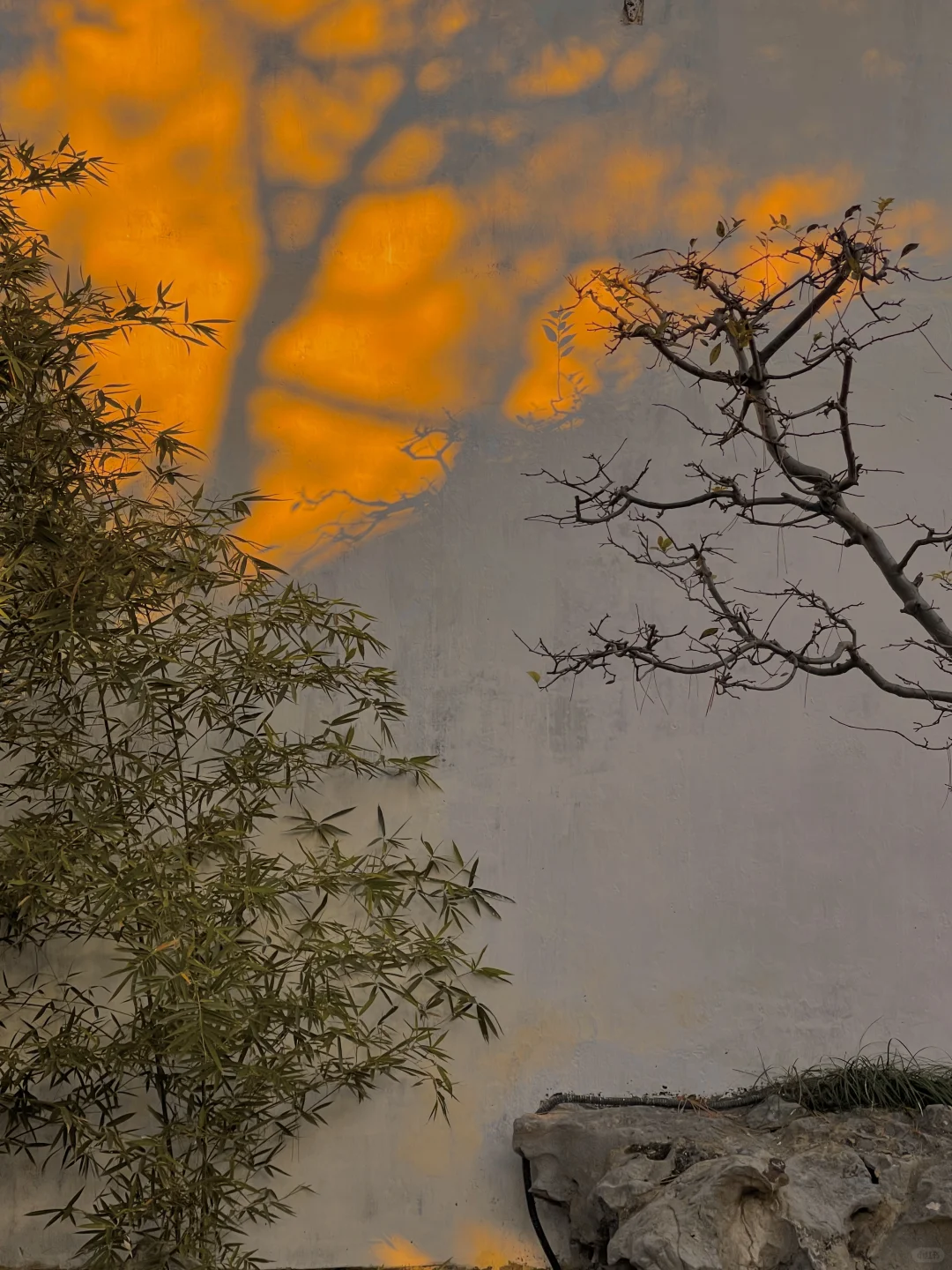 1⃣️8⃣️张live图告诉你苏州的秋天有多美‼️