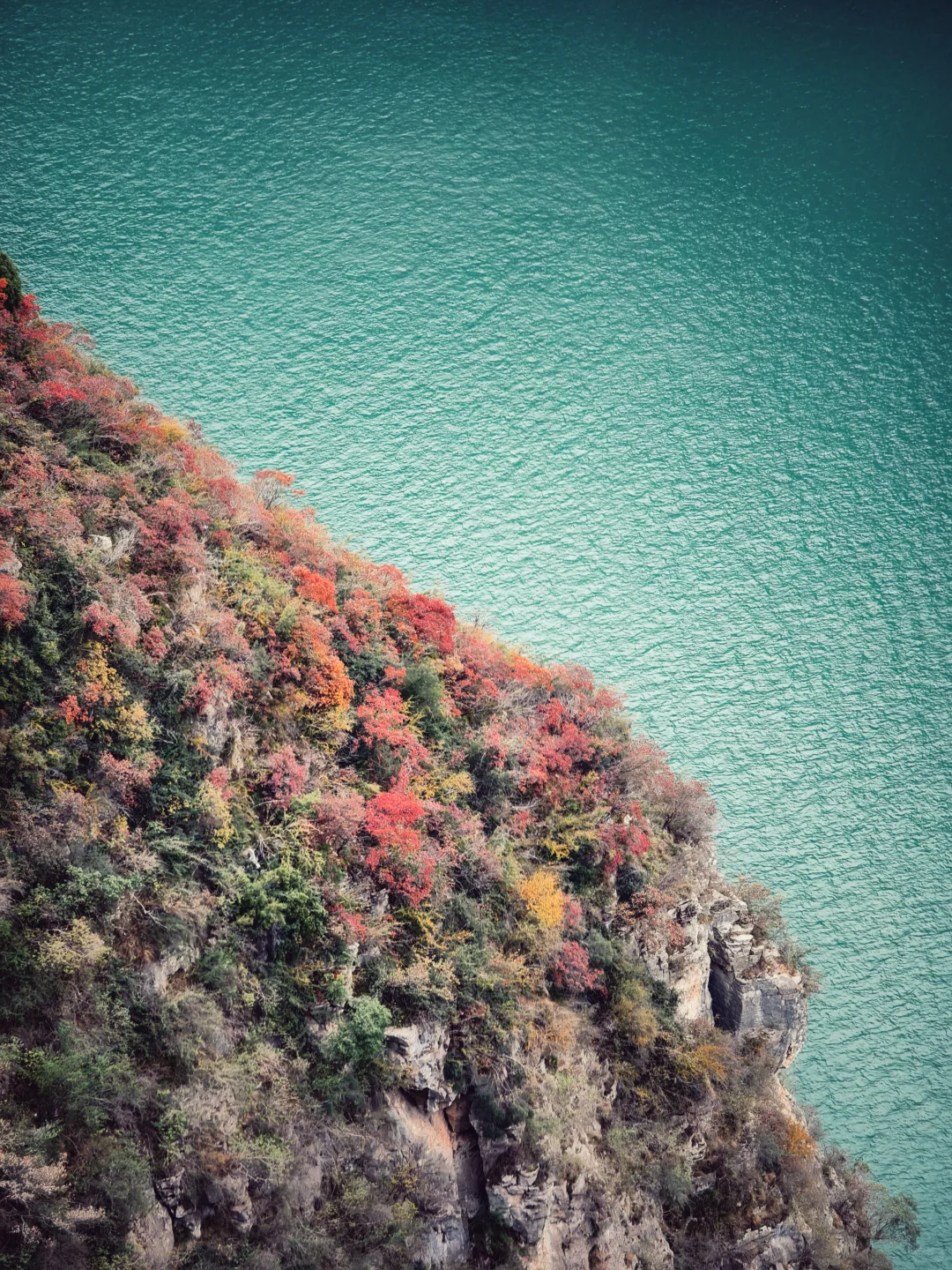 圆梦三峡！看到了李白所说白帝城和三峡之巅