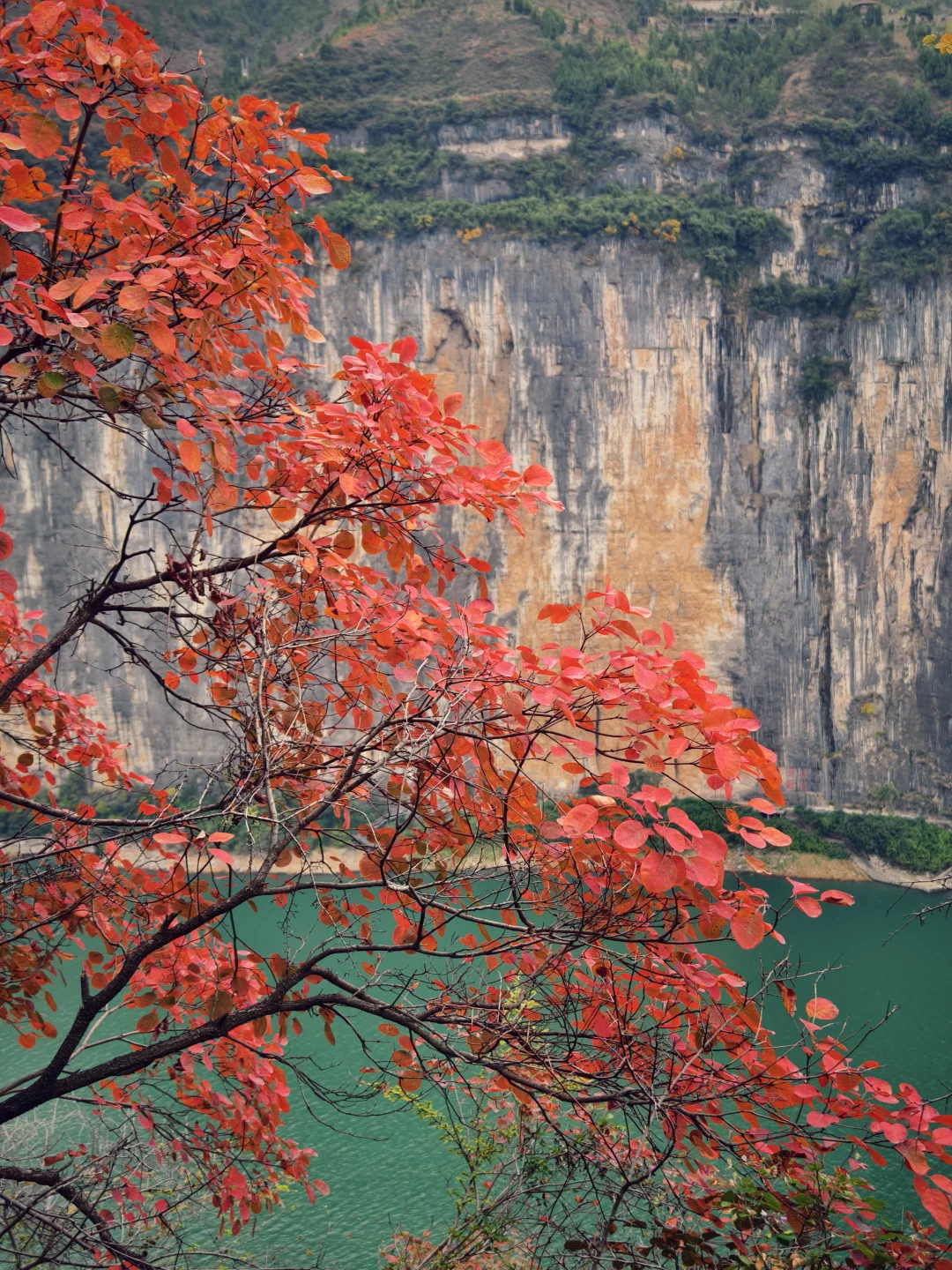 圆梦三峡！看到了李白所说白帝城和三峡之巅