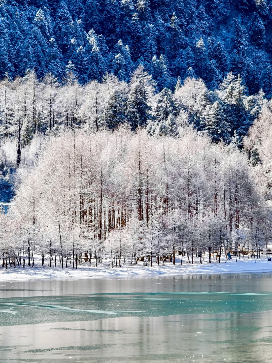 冬季川西怎么玩|来!毕棚沟看雪、滑雪、泡温泉