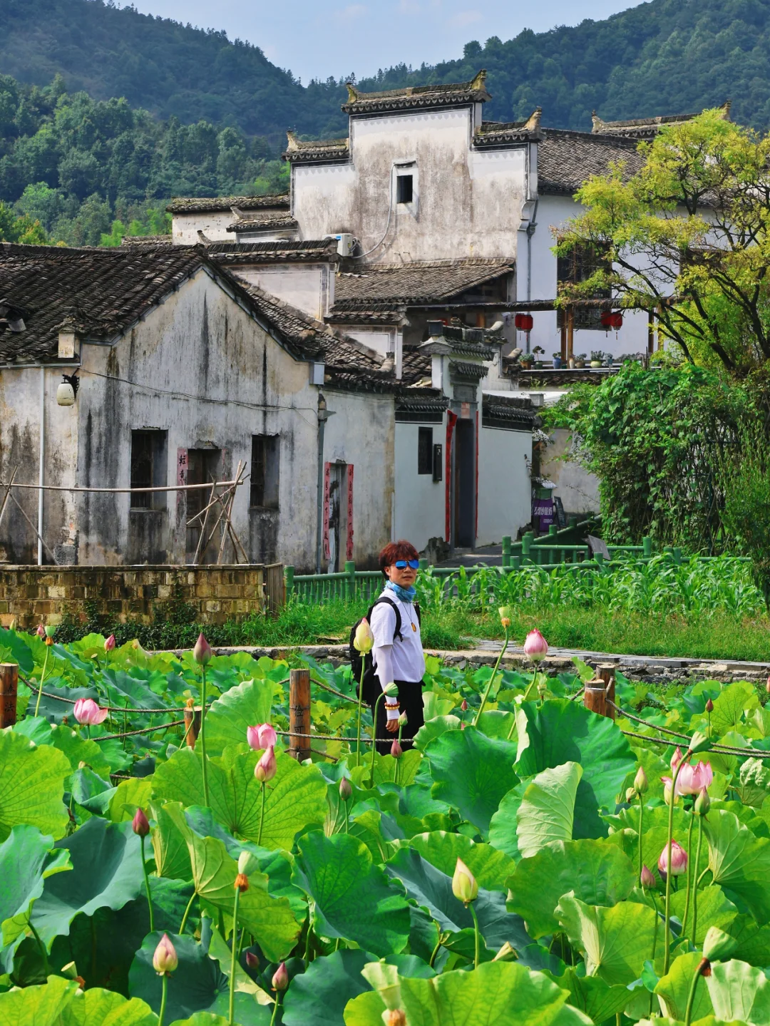 比起宏村我更推荐西递古村落最全旅游呢攻略
