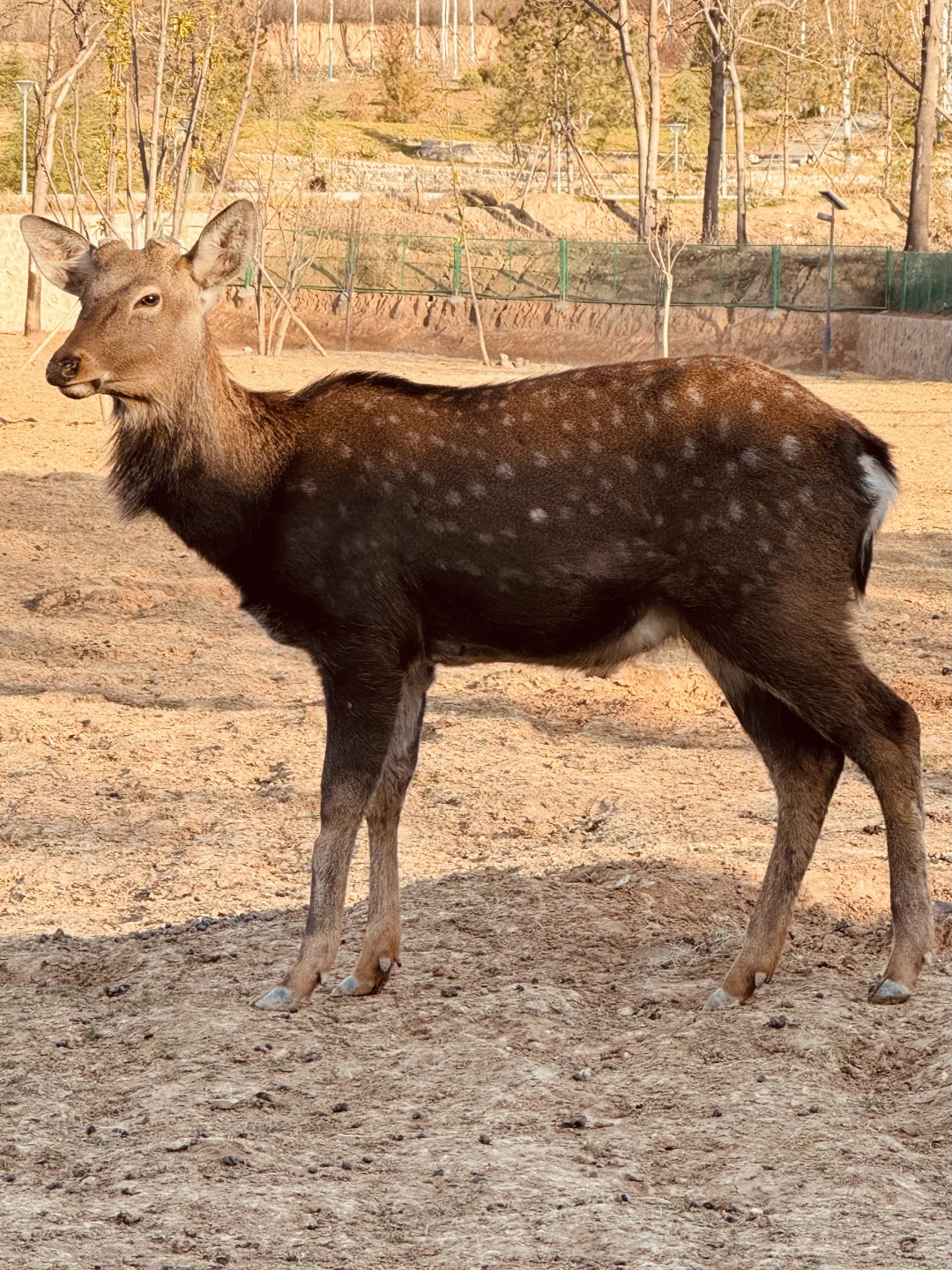 被问了好几遍⁉️12🈷️石家庄童话游玩好去处