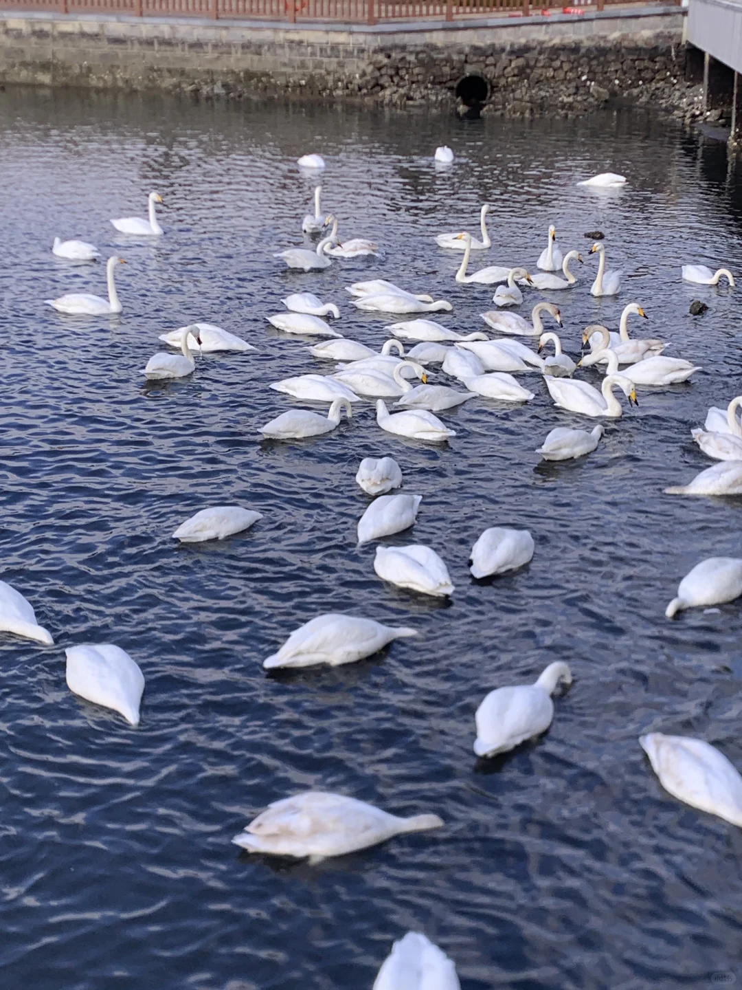 💰98元!穷游威海|12月威海旅游攻略