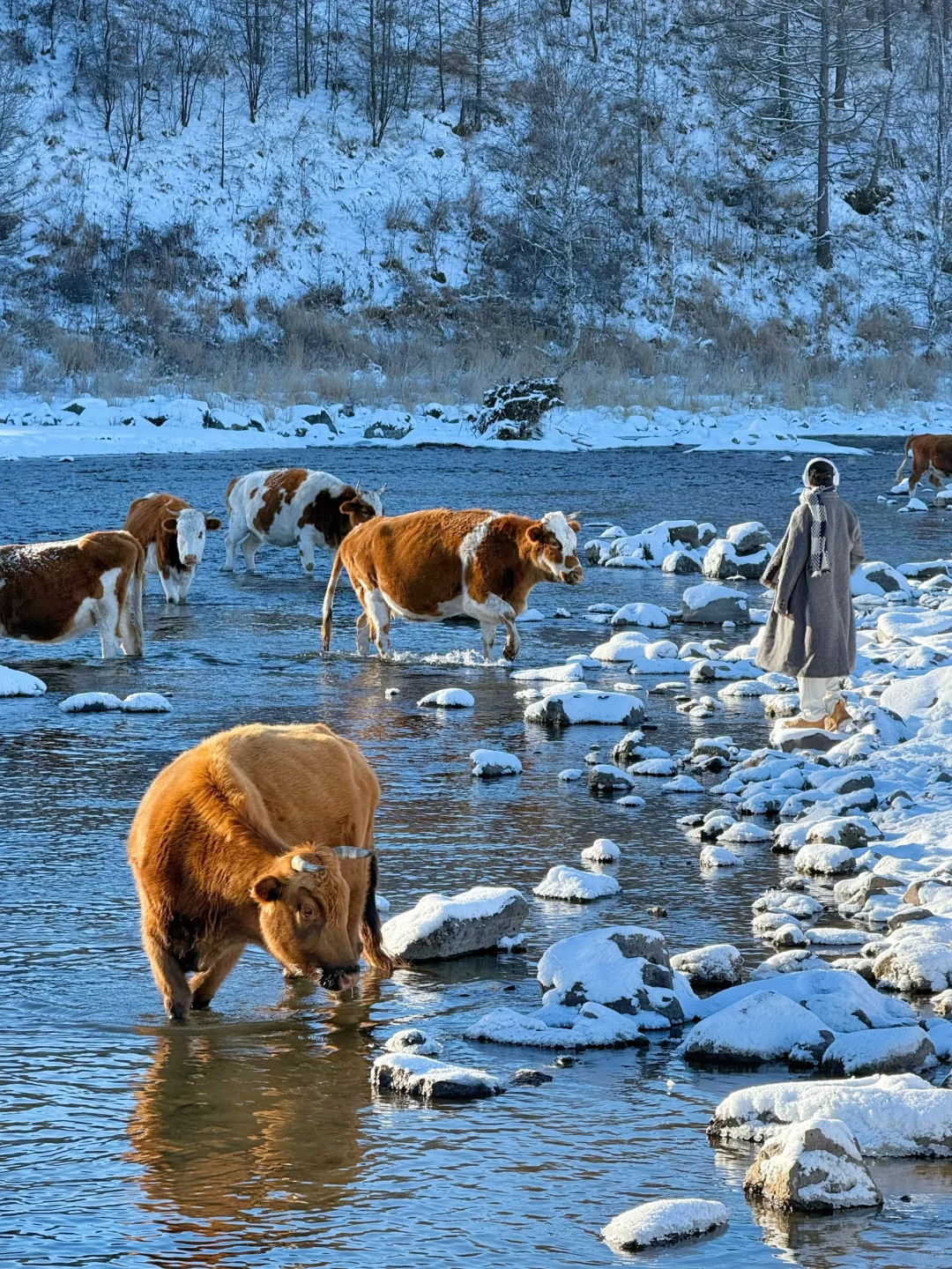 以为阿勒泰已经很美了，直到我去了阿尔山……