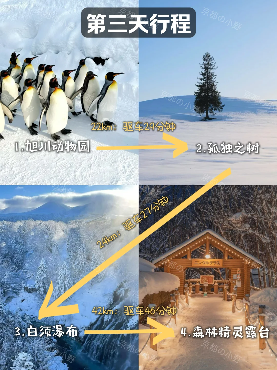 攻略｜🇯🇵终于有人把北海道旅游说清楚了‼️