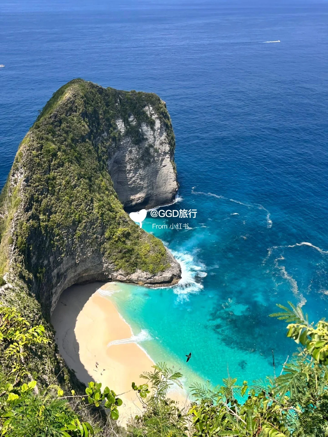 真心劝大家！巴厘岛旅游攻略刷到就存下‼️