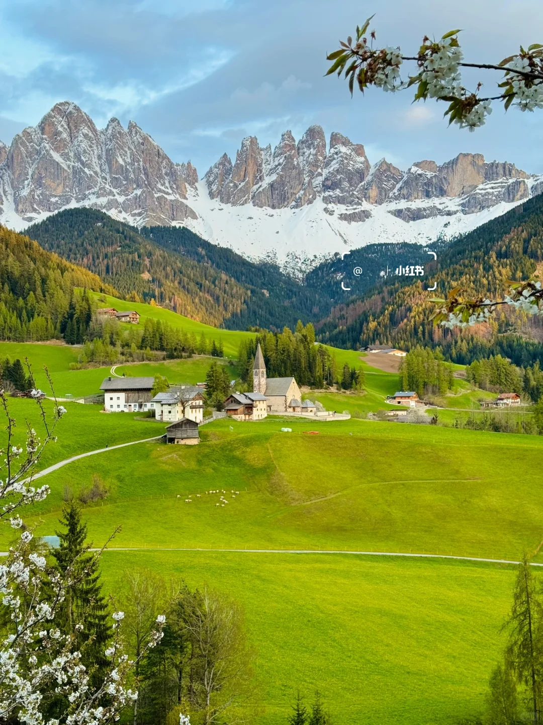 意大利旅行，有这篇全攻略就够了❗️附18日游