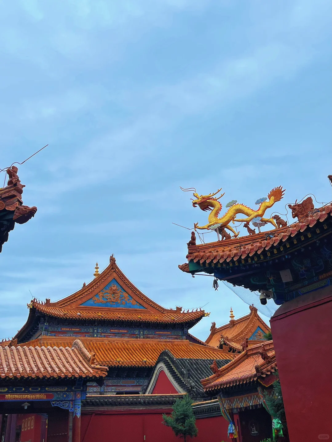 呼和浩特citywalk路线+省心攻略+tips