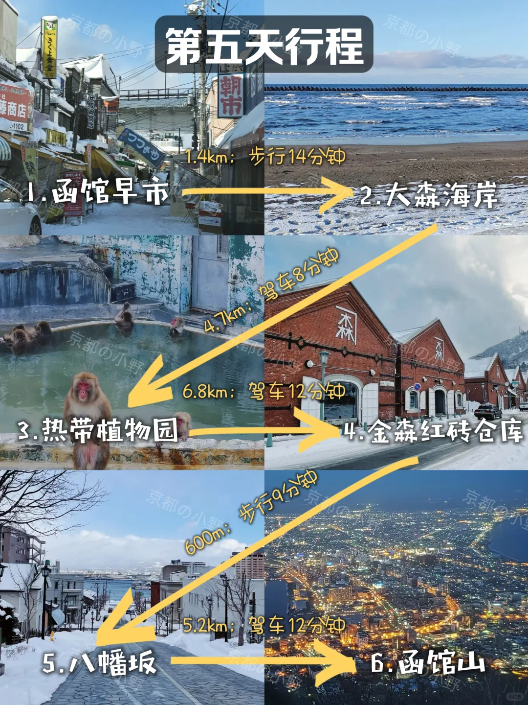 攻略｜🇯🇵终于有人把北海道旅游说清楚了‼️